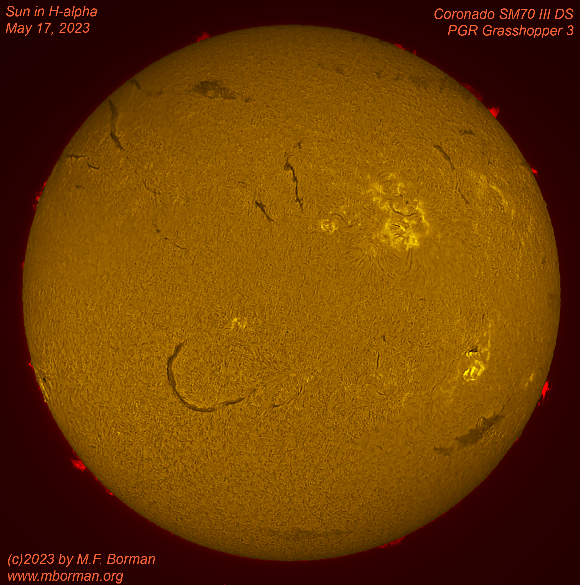 Solar disk in h-alpha 05/17/2023