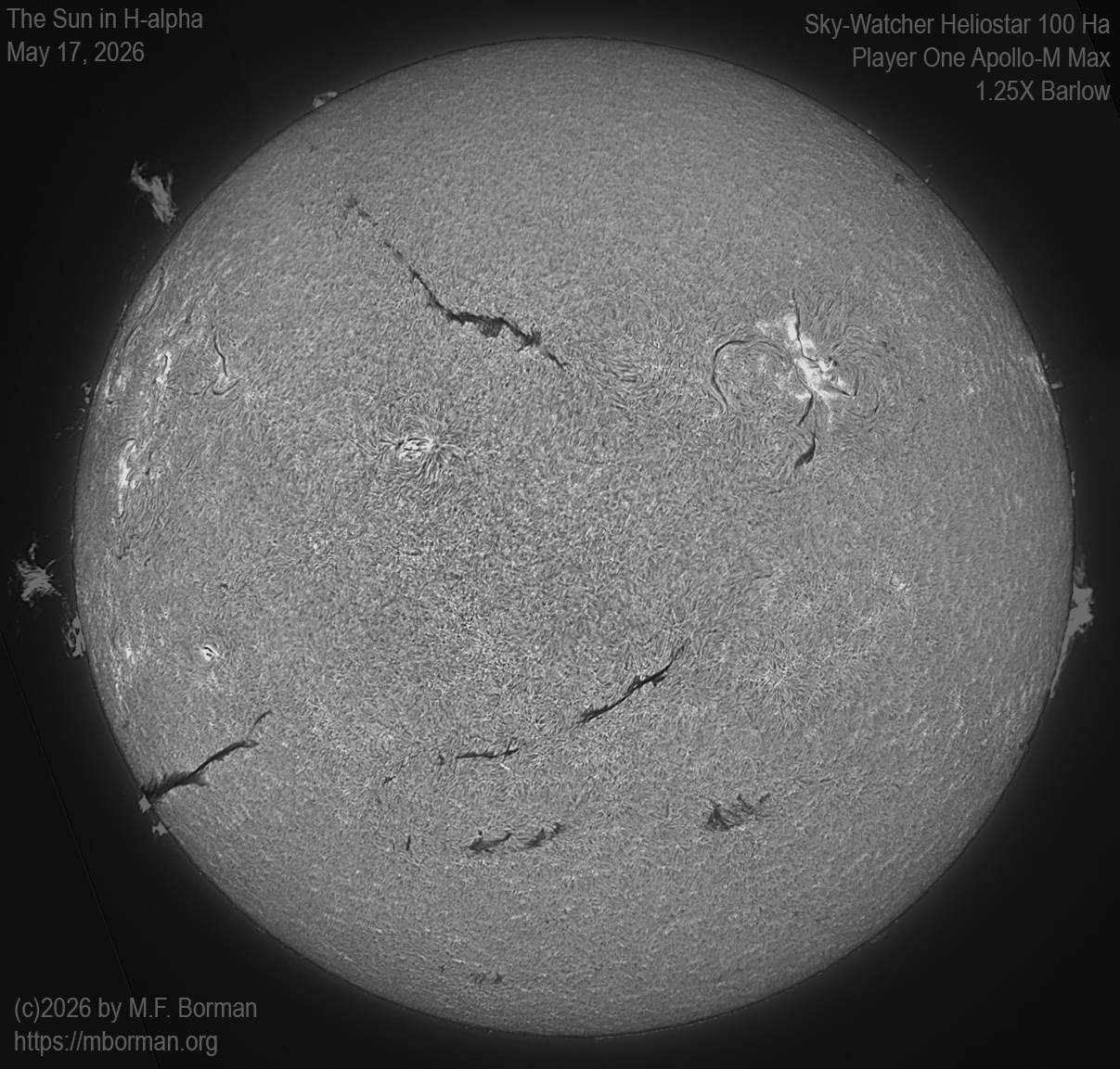 Solar image in h-alpha 05/17/26