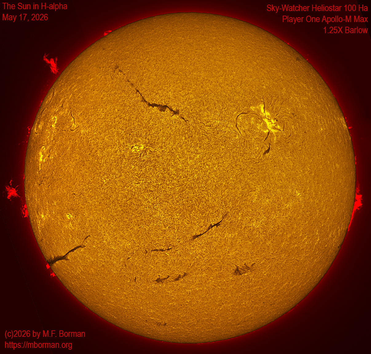 Solar image in h-alpha 05/17/26
