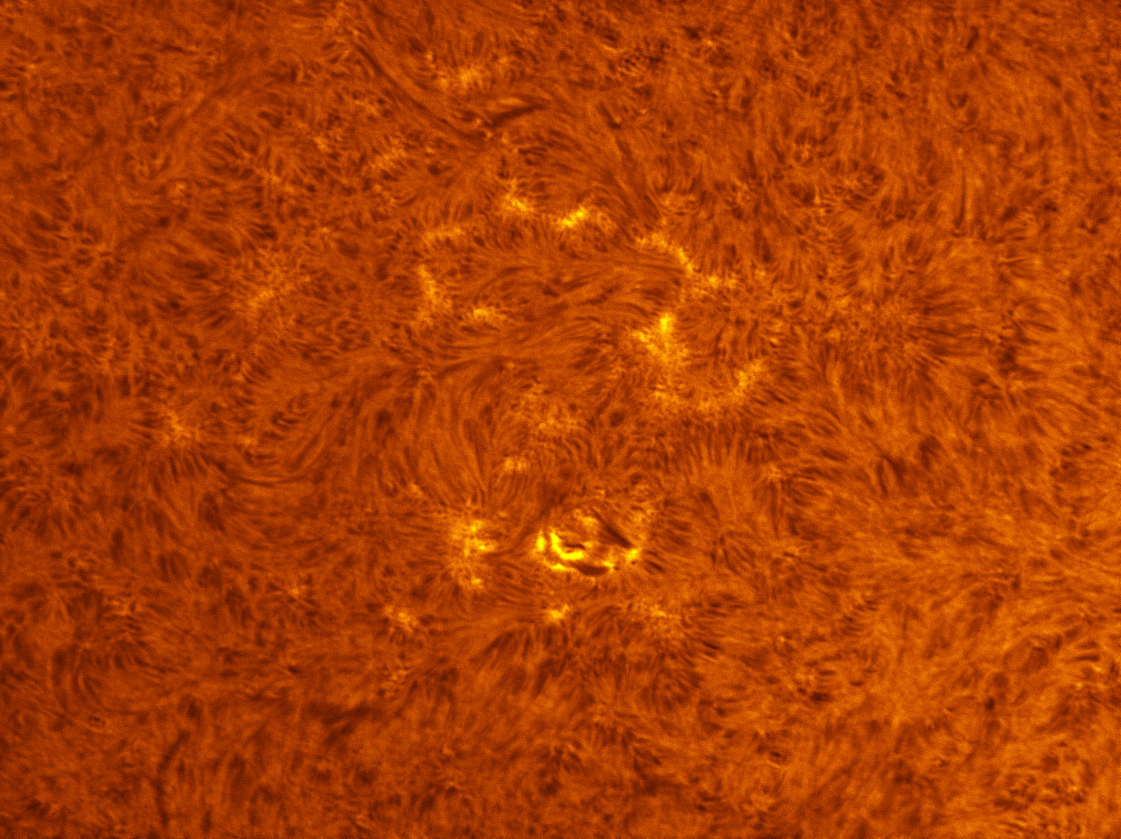 Sunspots 1483 in h-alpha 05/18/2012