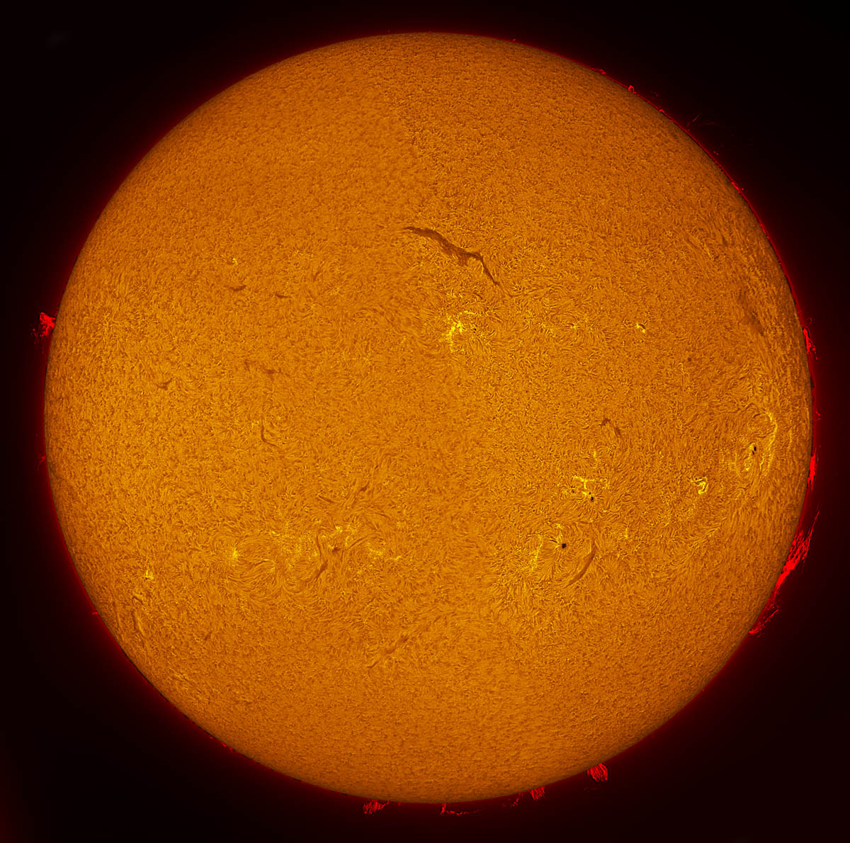 Solar Disk in h-alpha 05/18/2014