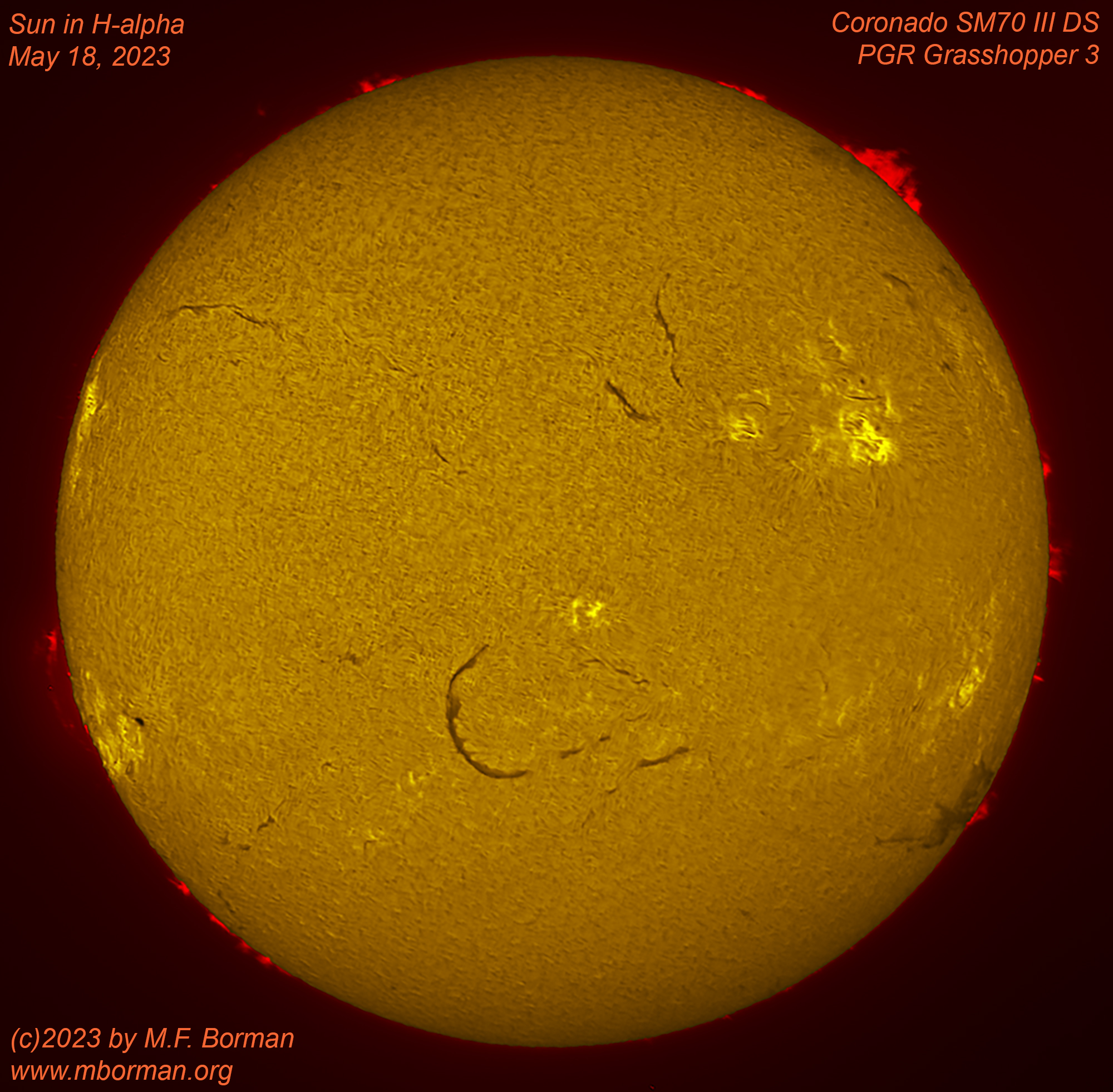 Solar disk in h-alpha 05/18/2023
