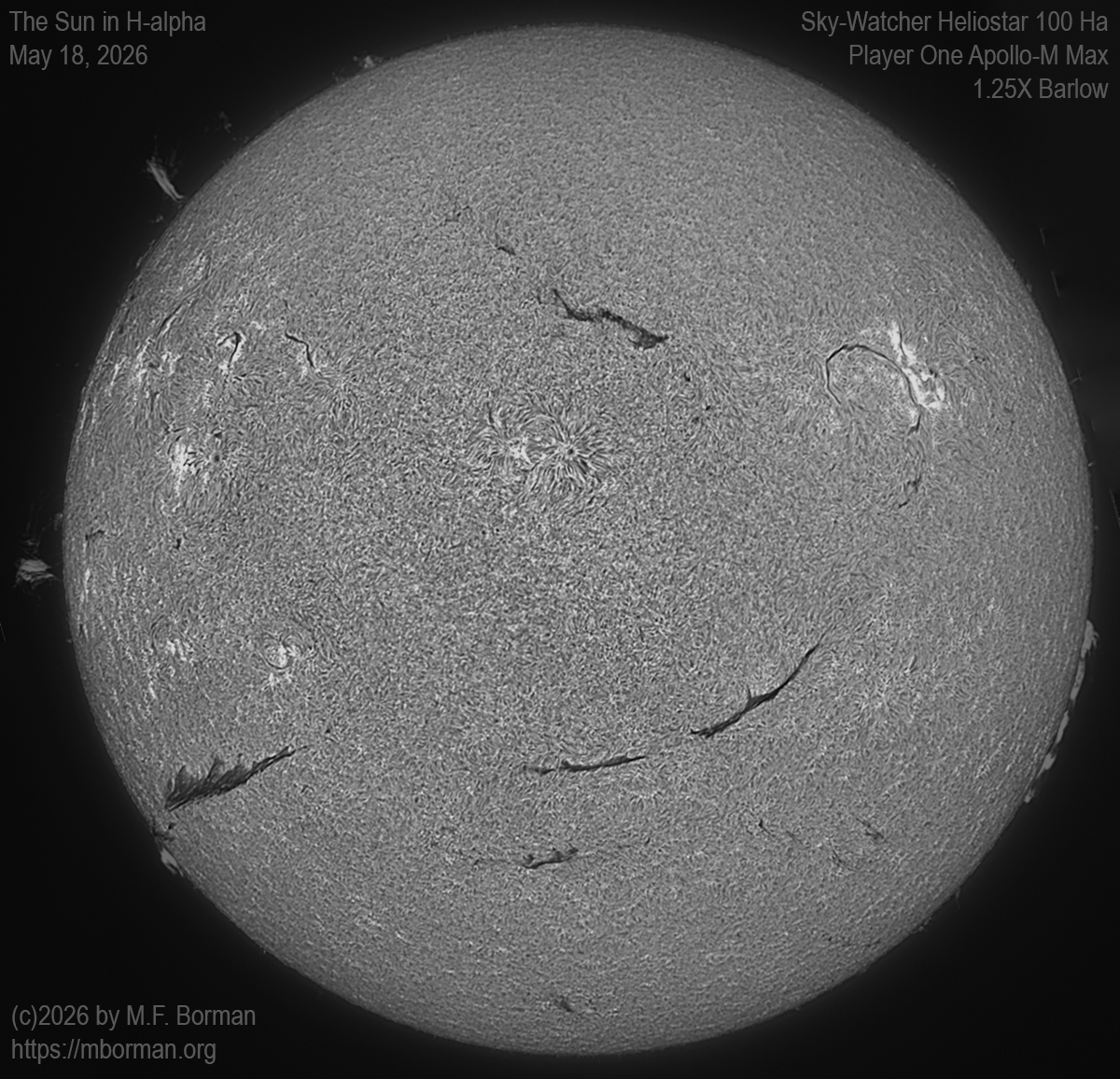 Solar image in h-alpha 05/18/26