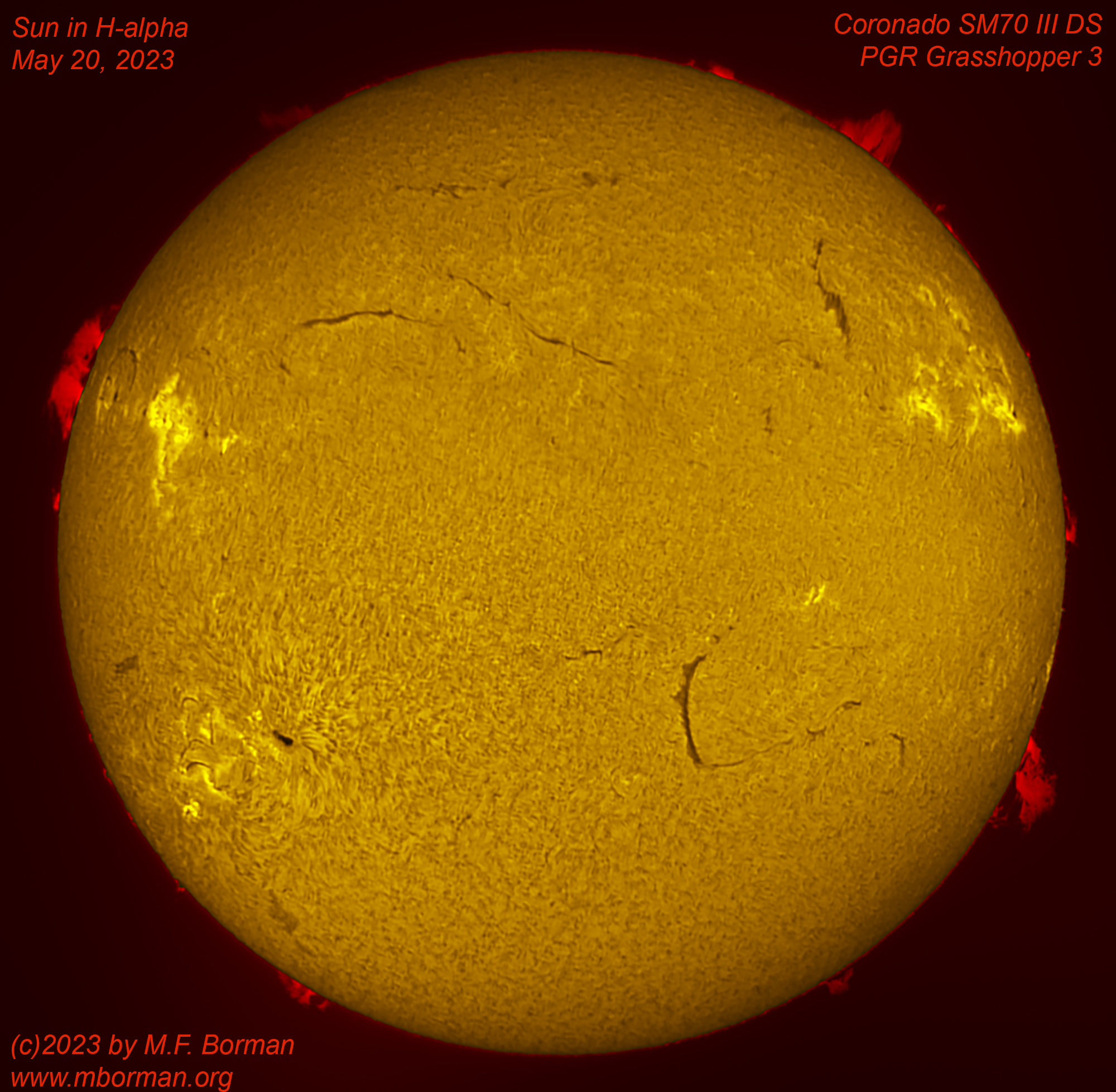 Solar disk in h-alpha 05/20/2023