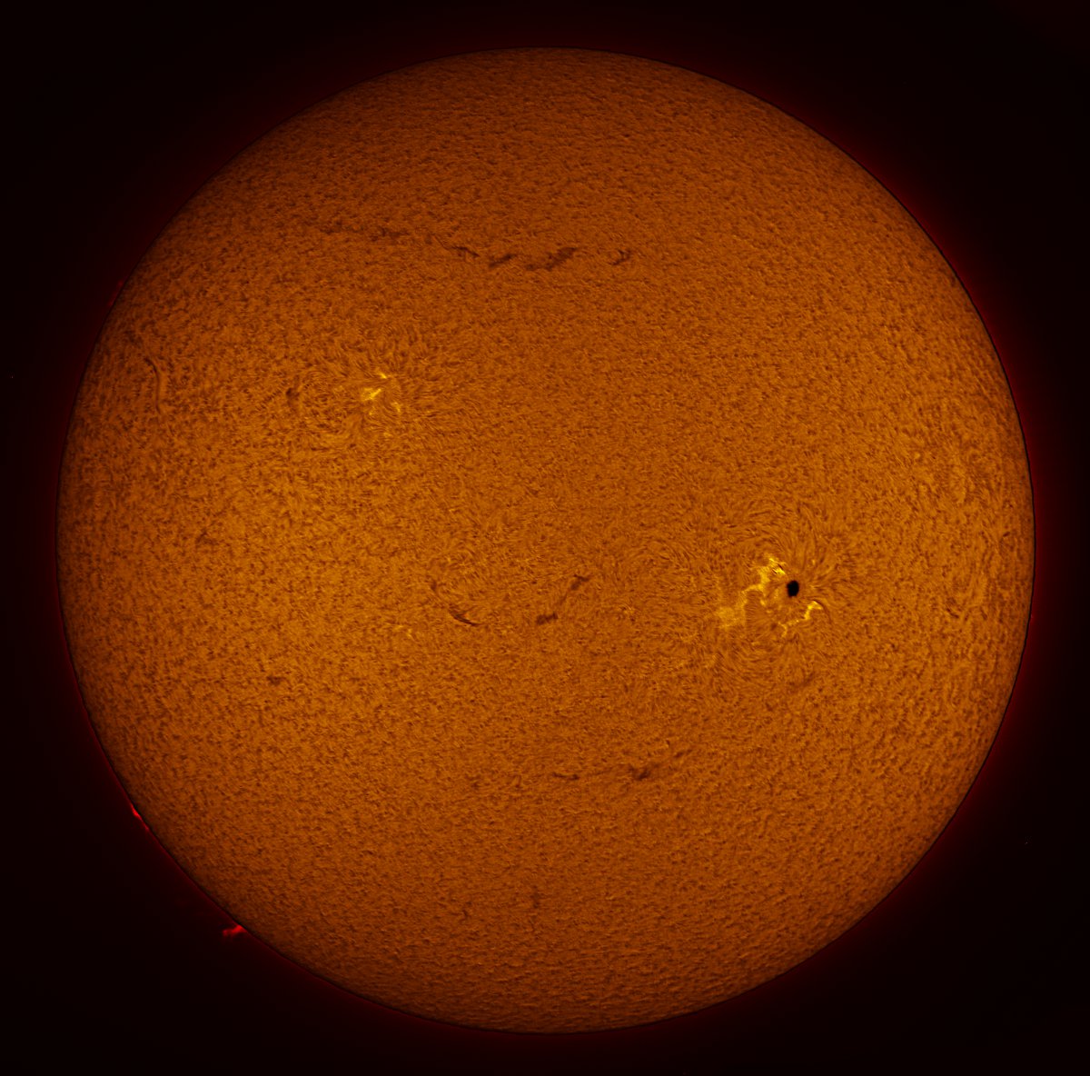 Solar Disk in h-alpha 05/22/2016