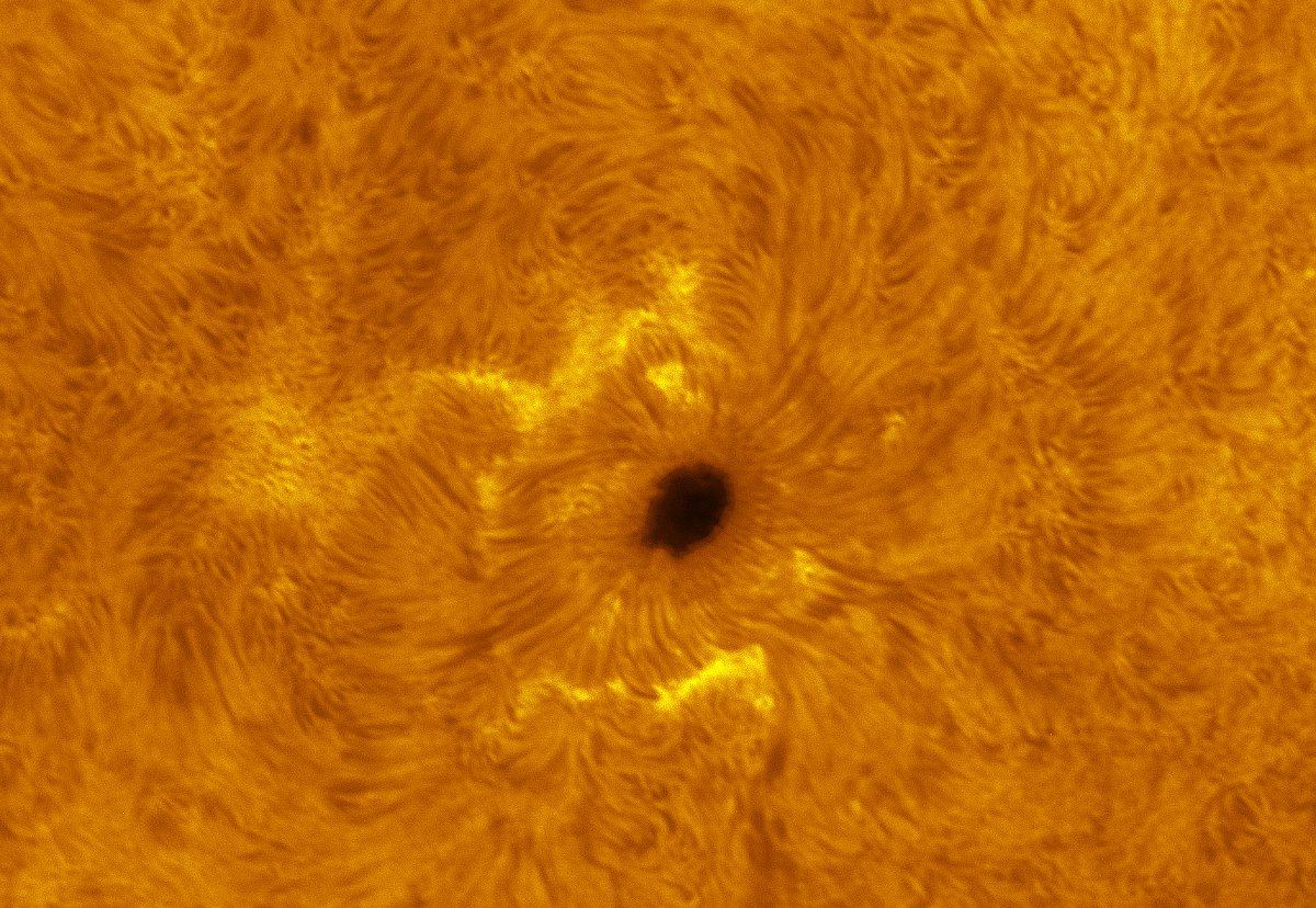 Sunspot 2546 in h-alpha 05/22/2016