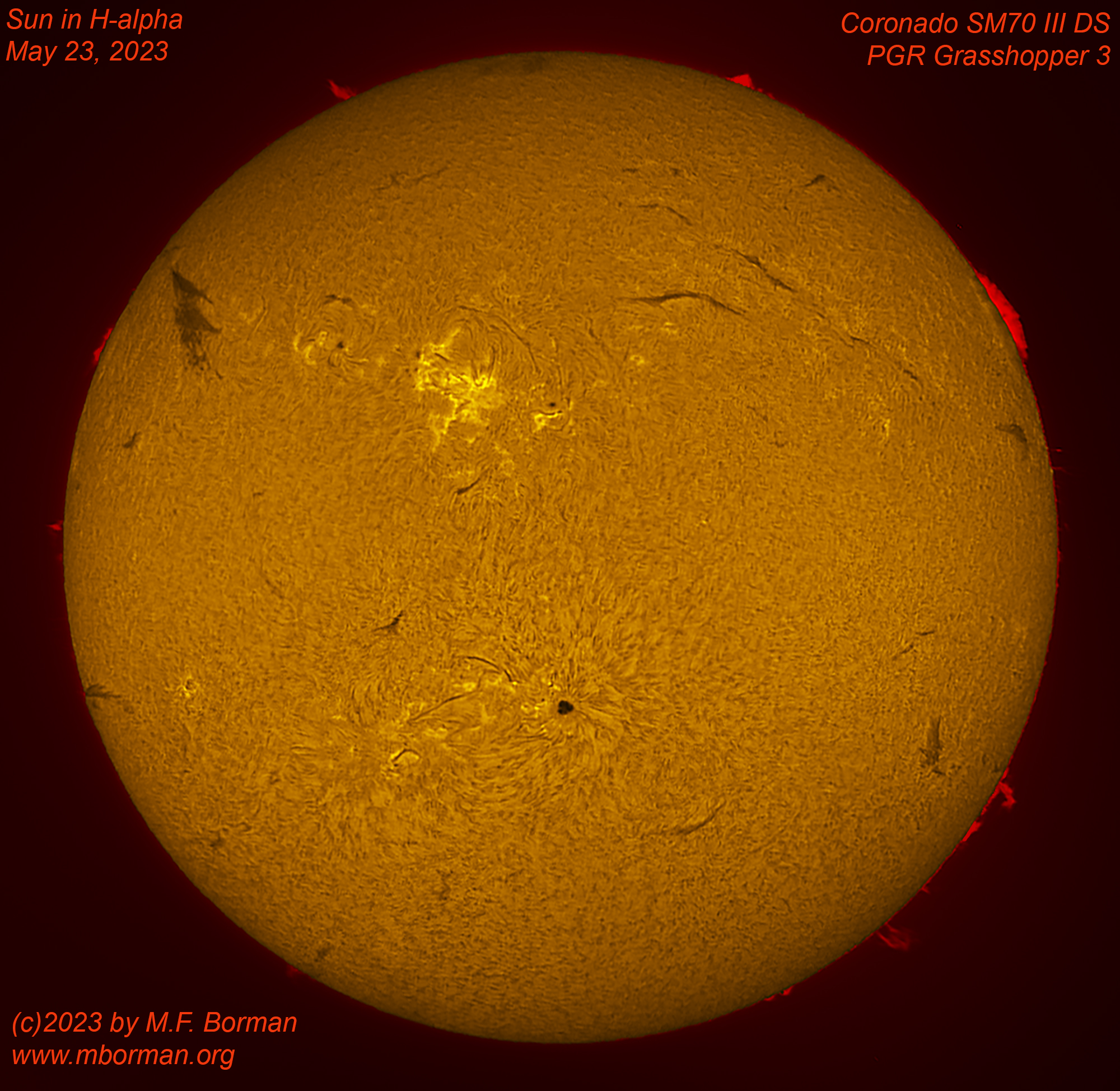 Solar disk in h-alpha 05/23/2023