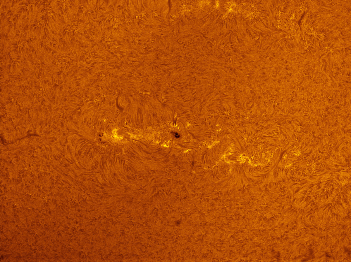 Sunspots 1754, and 1756 in h-alpha 05/25/2013