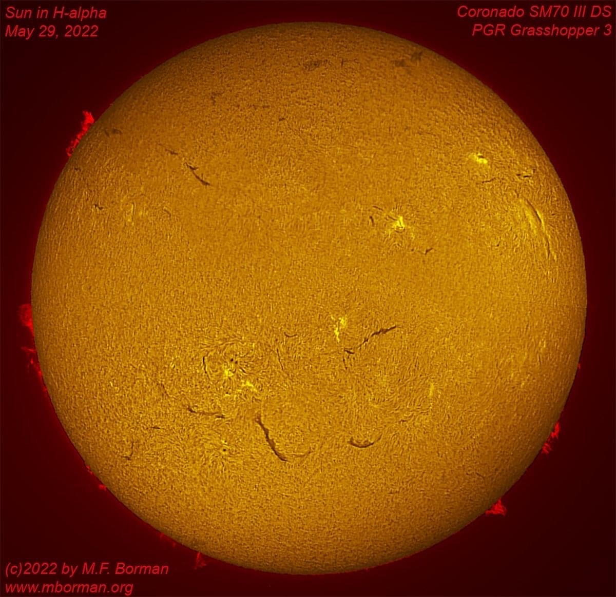 Solar disk in h-alpha 05/29/2022