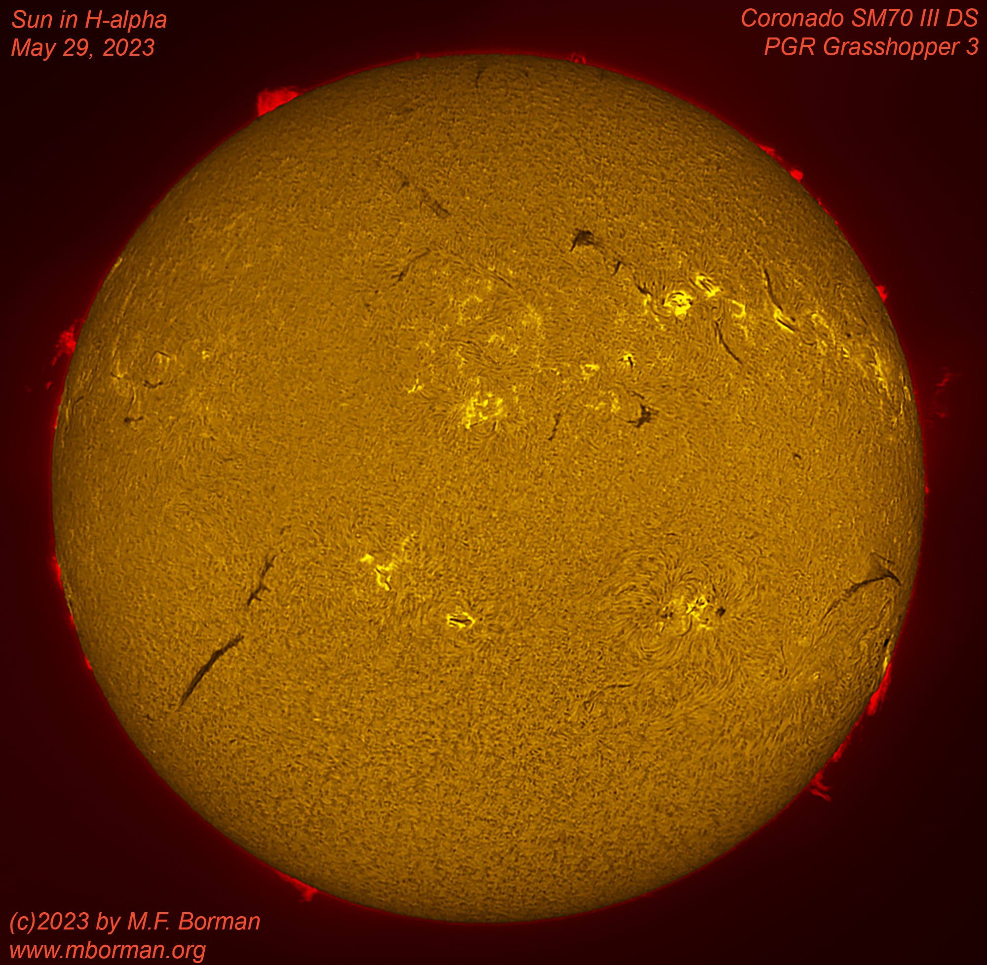 Solar disk in h-alpha 05/29/2023
