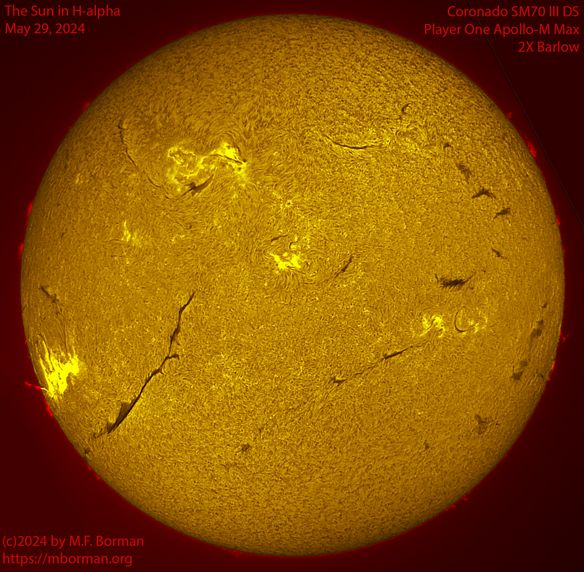 Solar image in h-alpha 05/29/24