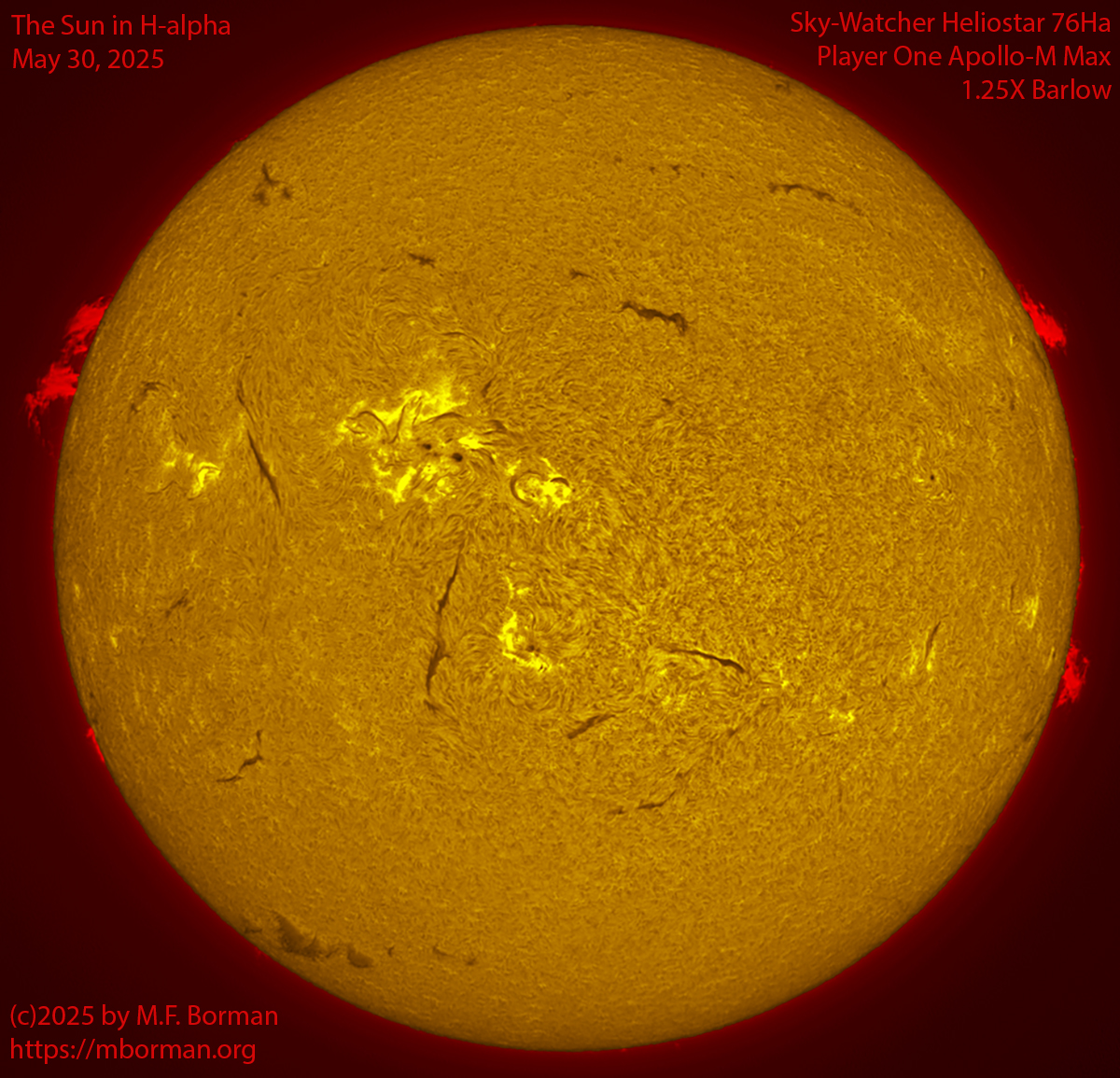 Solar image in h-alpha 05/30/25