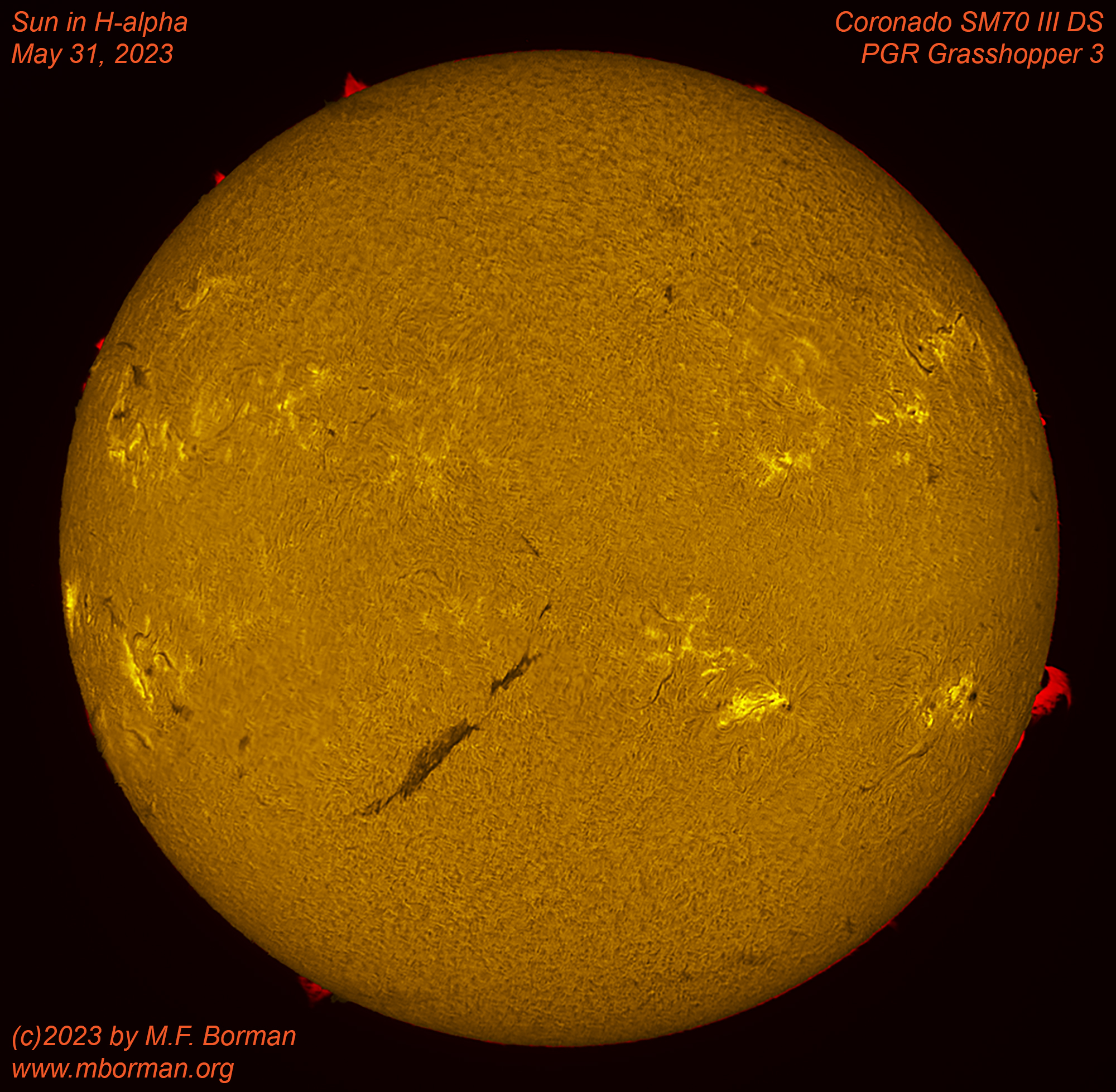 Solar disk in h-alpha 05/31/2023