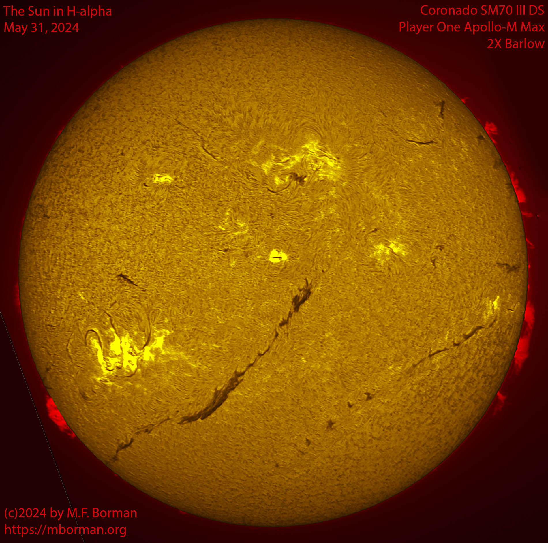 Solar image in h-alpha 05/31/24