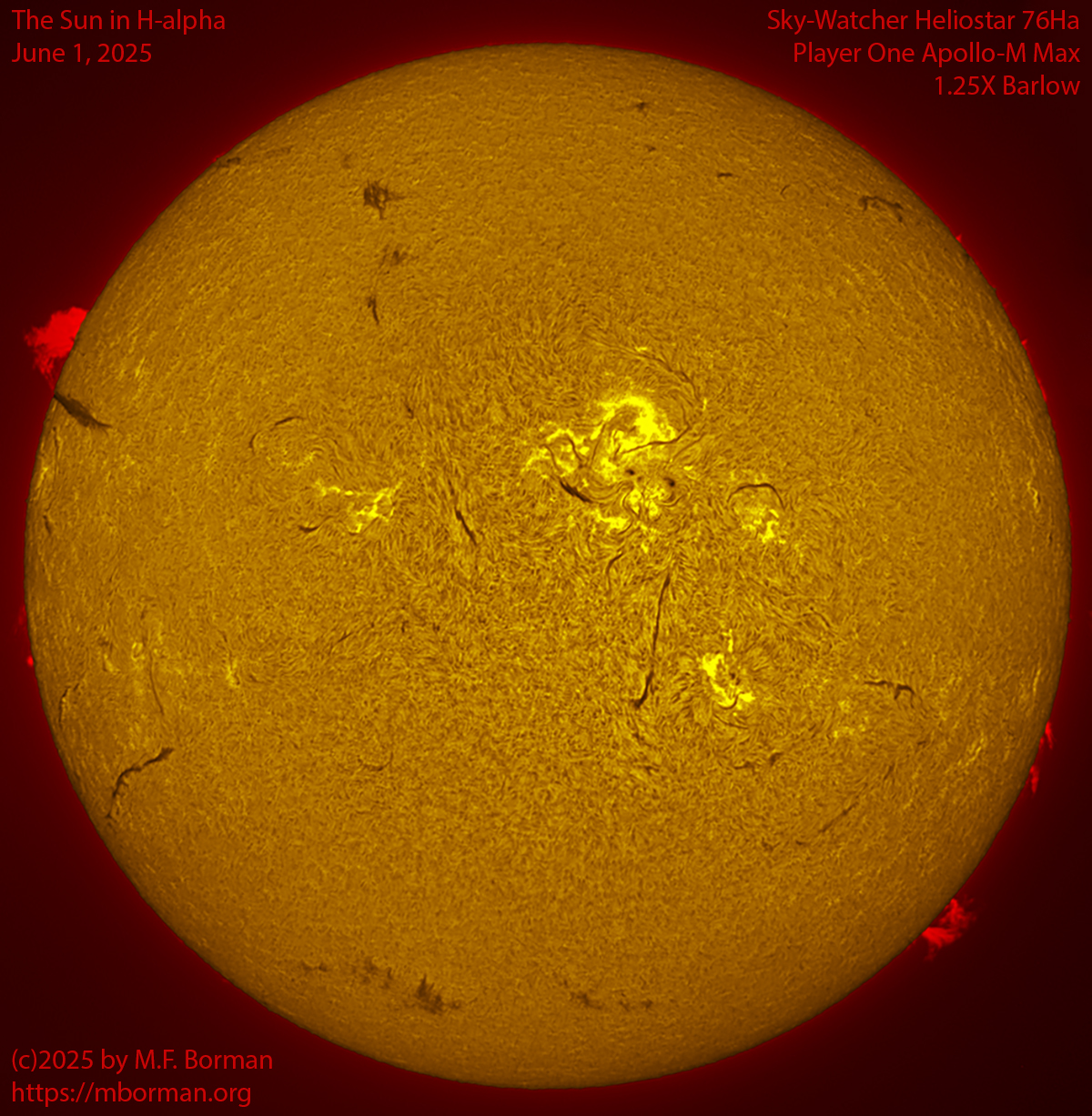 Solar image in h-alpha 06/01/25