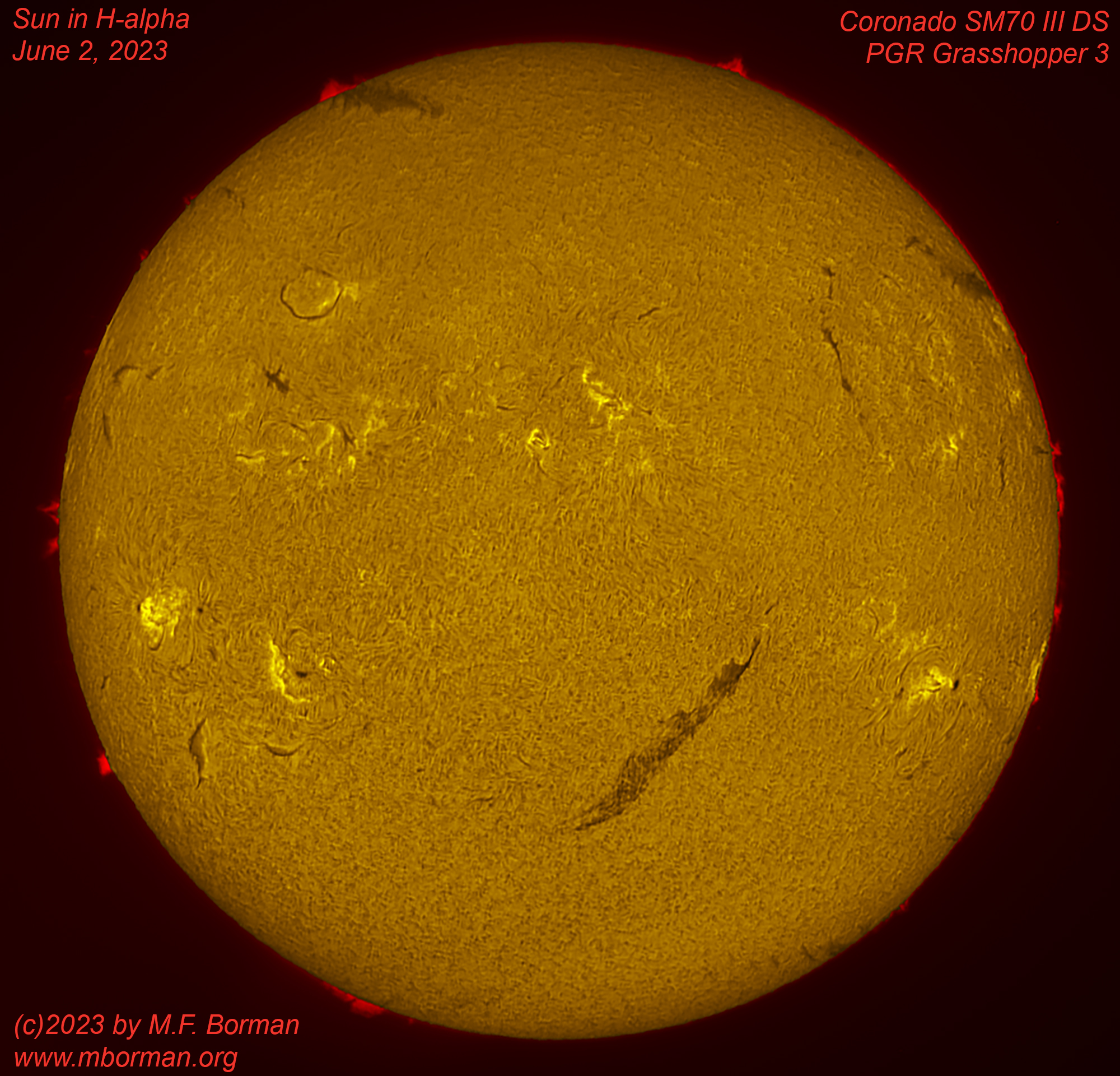 Solar disk in h-alpha 06/02/2023