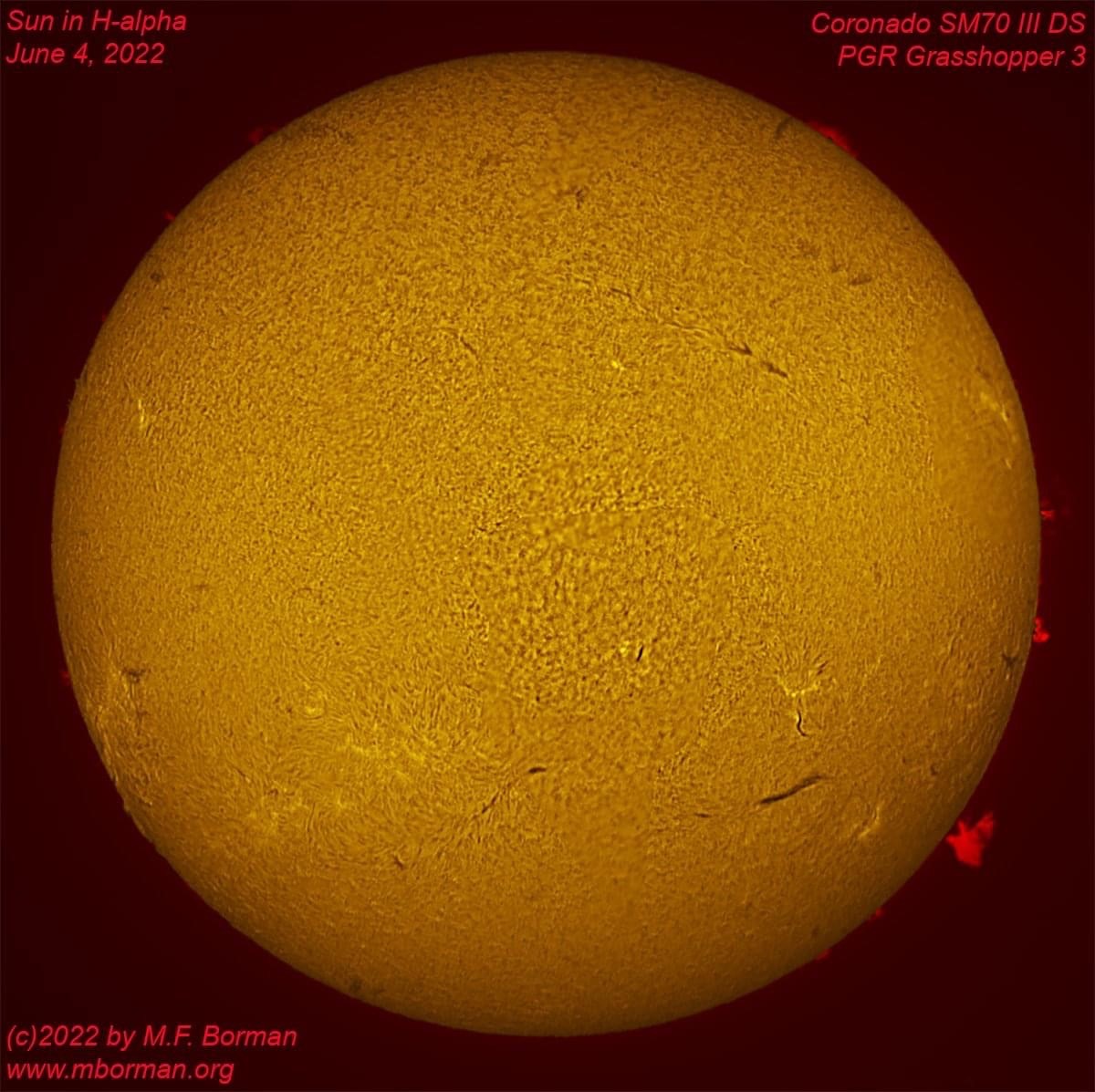 Solar disk in h-alpha 06/04/2022