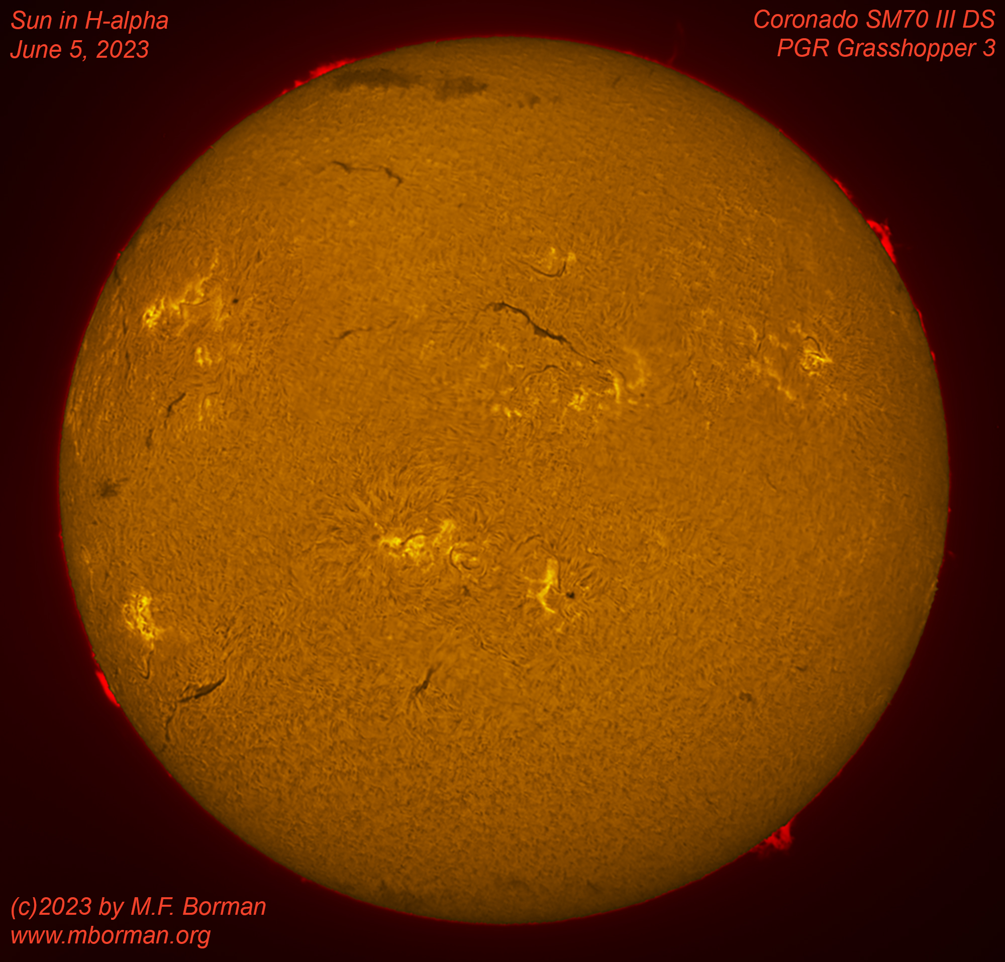 Solar disk in h-alpha 06/05/2023