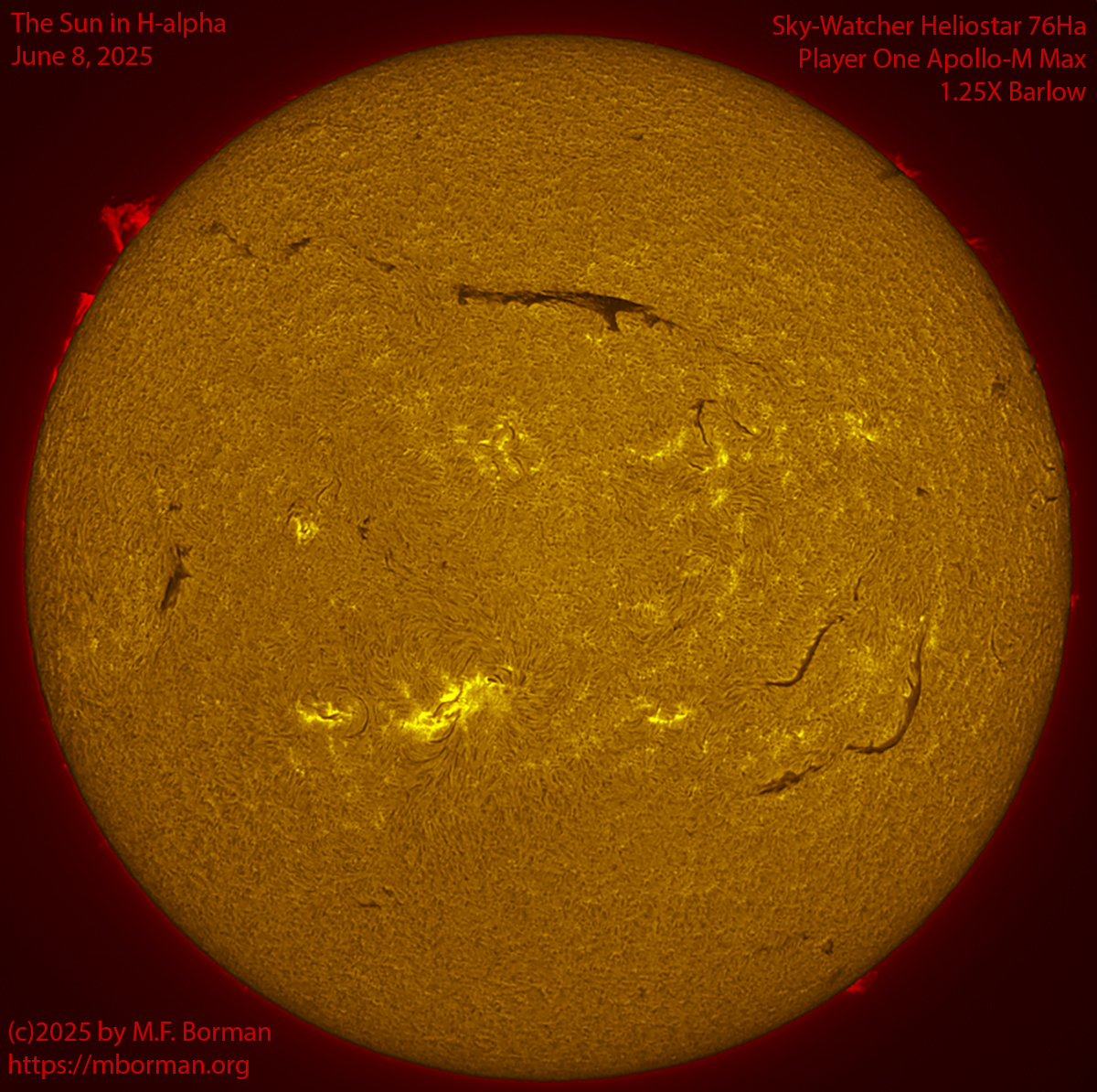 Solar image in h-alpha 06/08/25