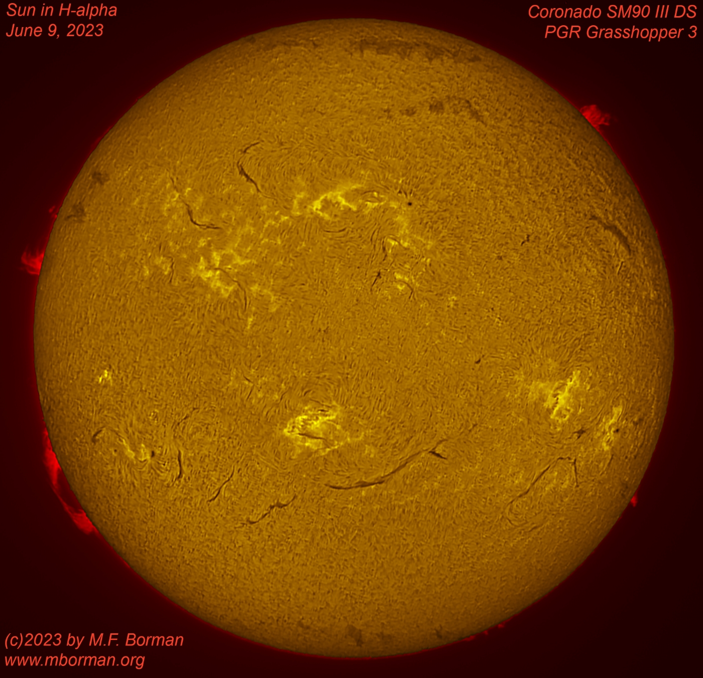 Solar disk in h-alpha 06/09/2023
