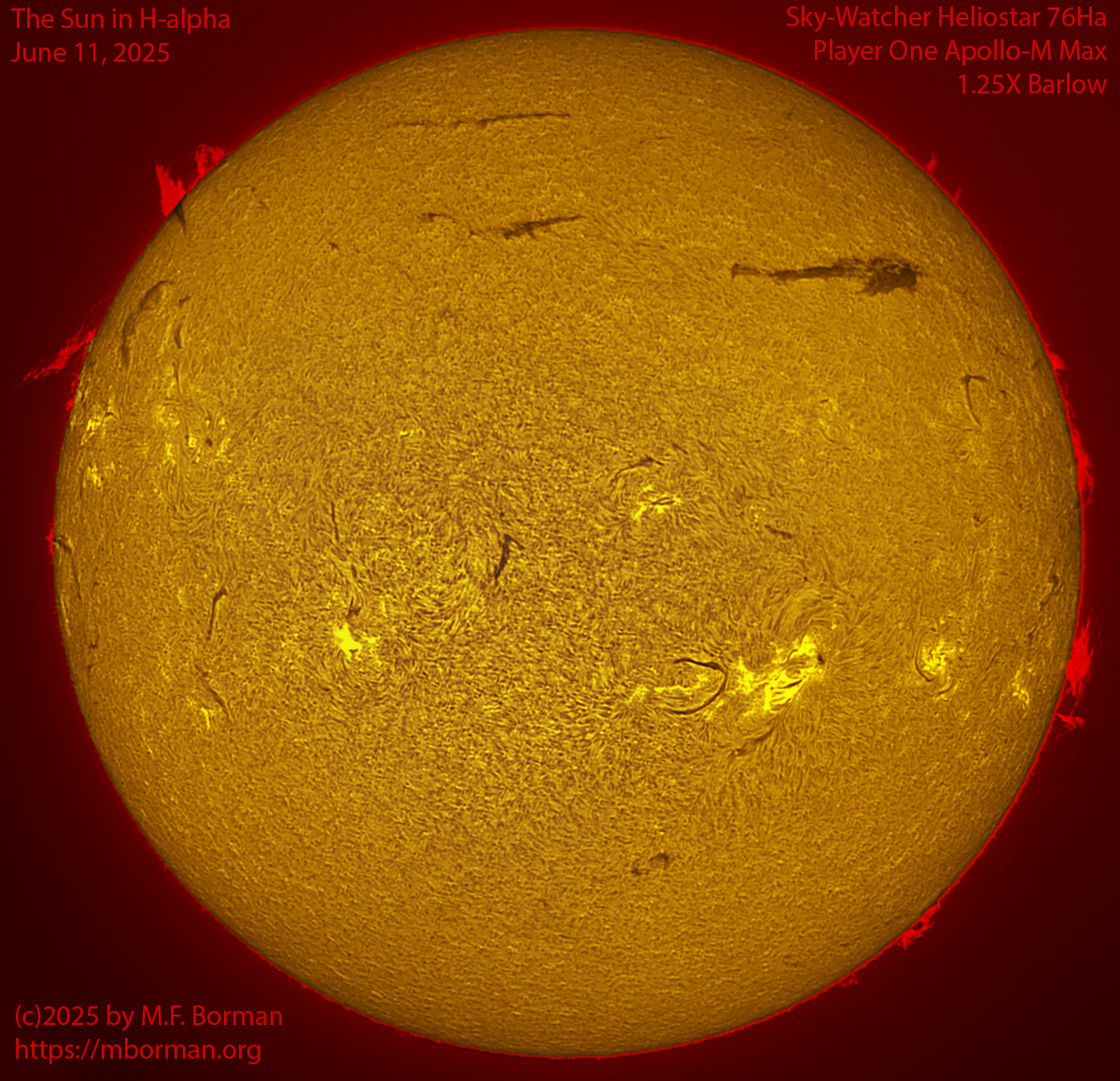 Solar image in h-alpha 06/11/25