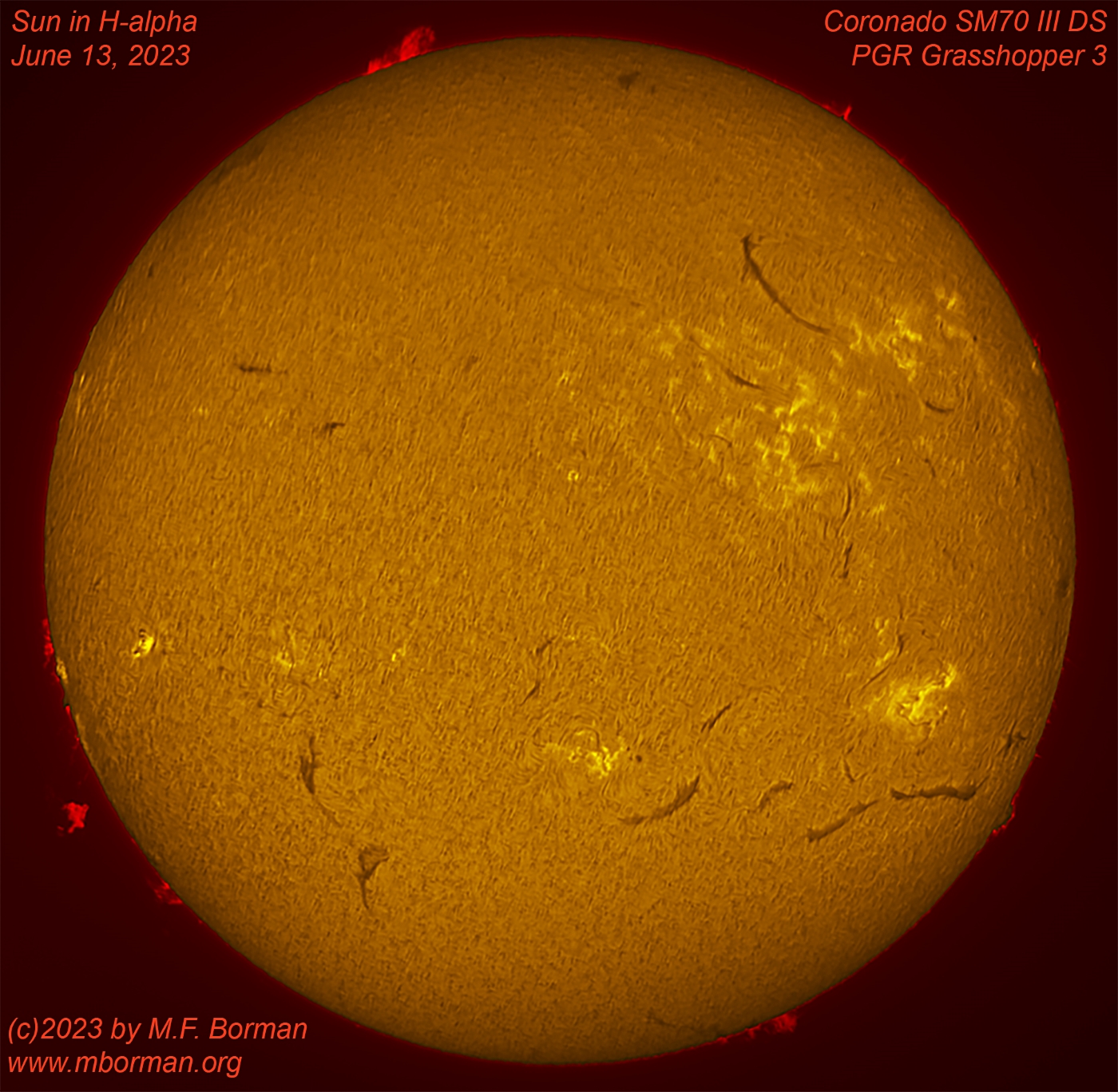 Solar disk in h-alpha 06/13/2023