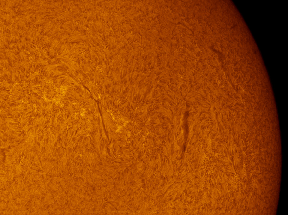 Solar filaments in h-alpha 06/14/2013