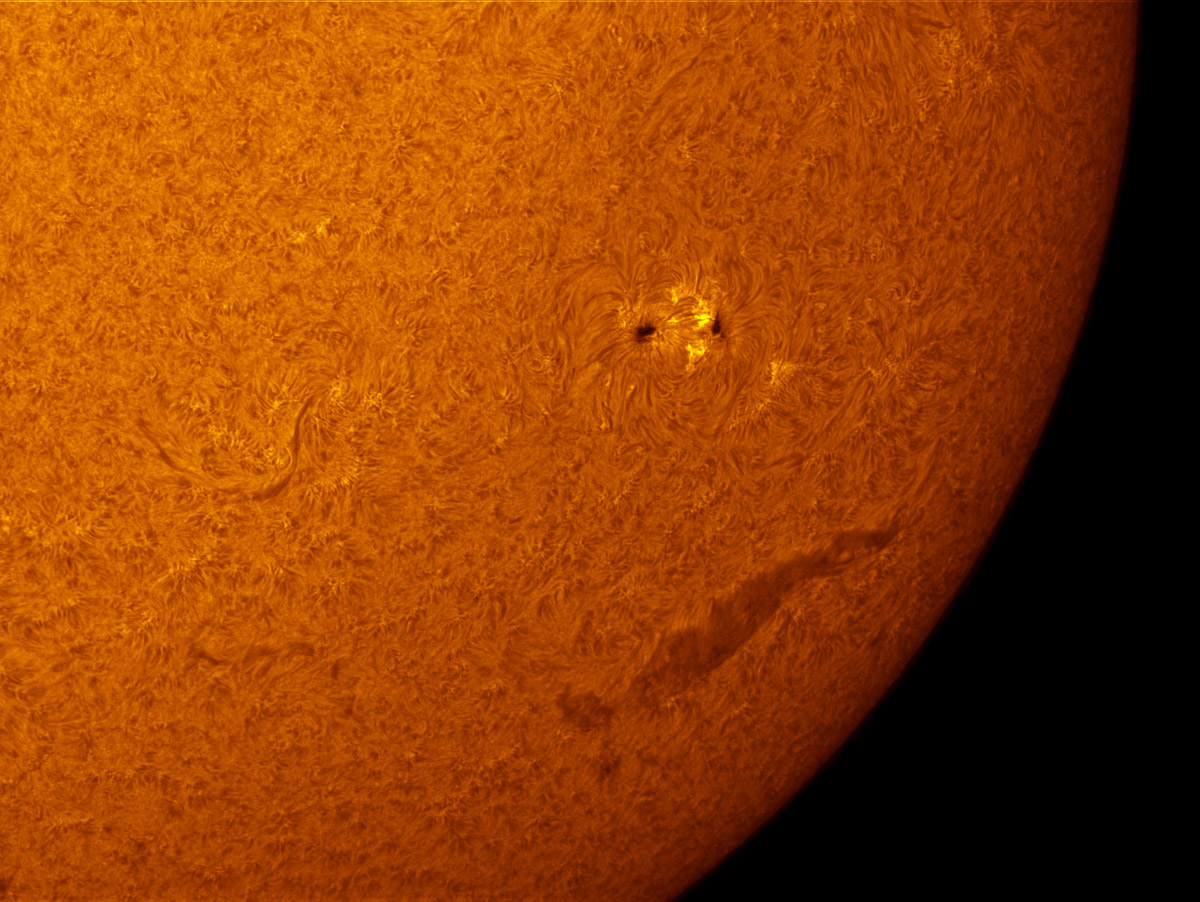 Sunspot 17685 in h-alpha 06/14/2013