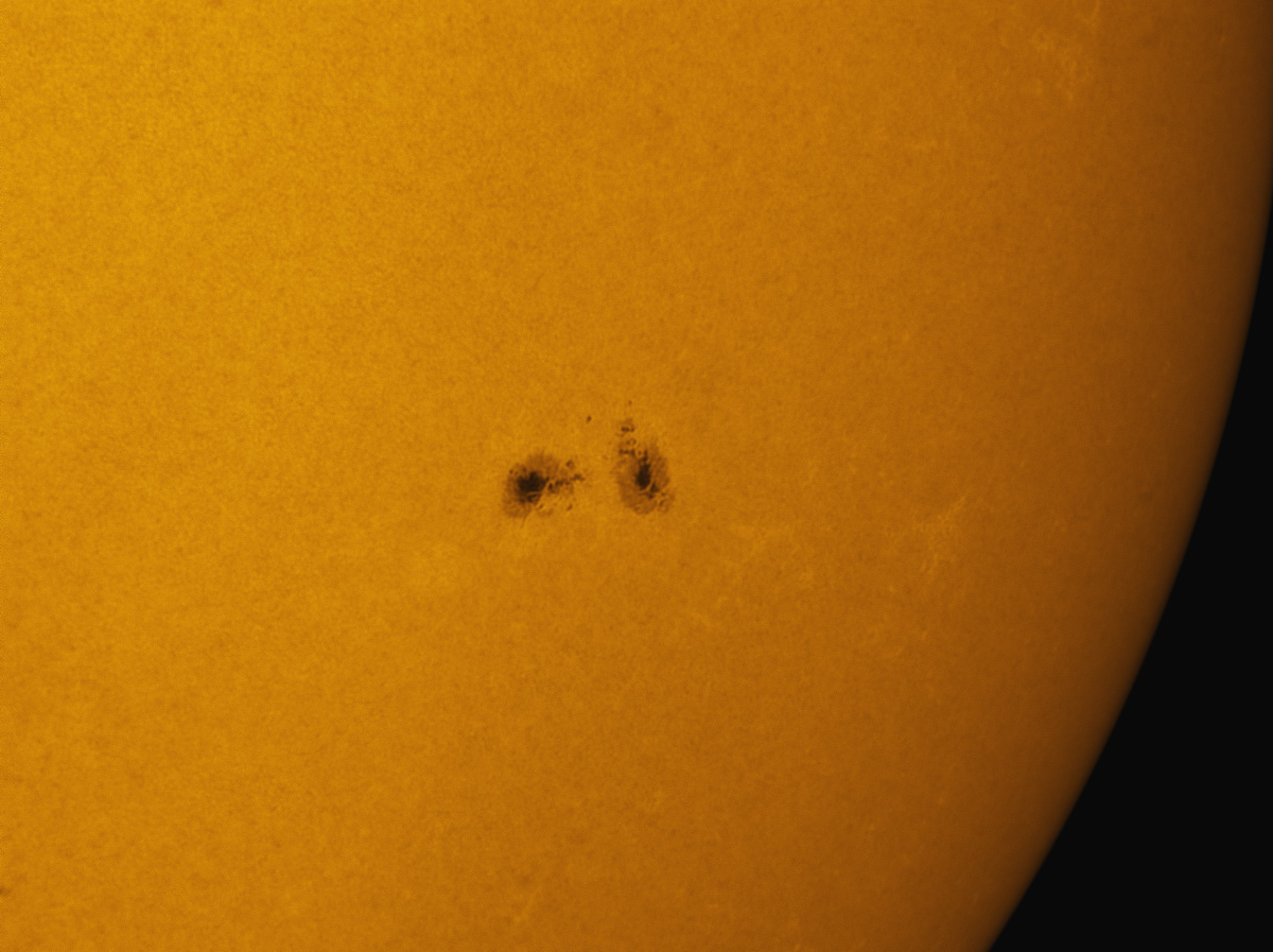 Sunspot 17685 in white light 06/14/2013