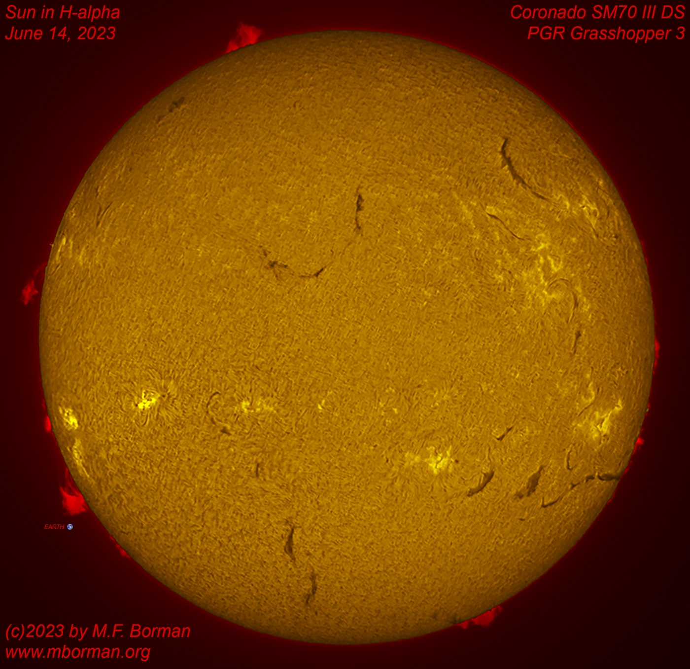 Solar disk in h-alpha 06/14/2023