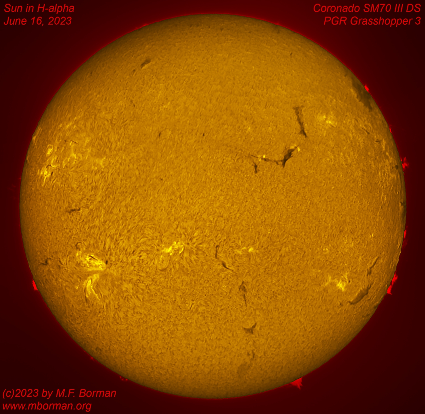 Solar disk in h-alpha 06/16/2023