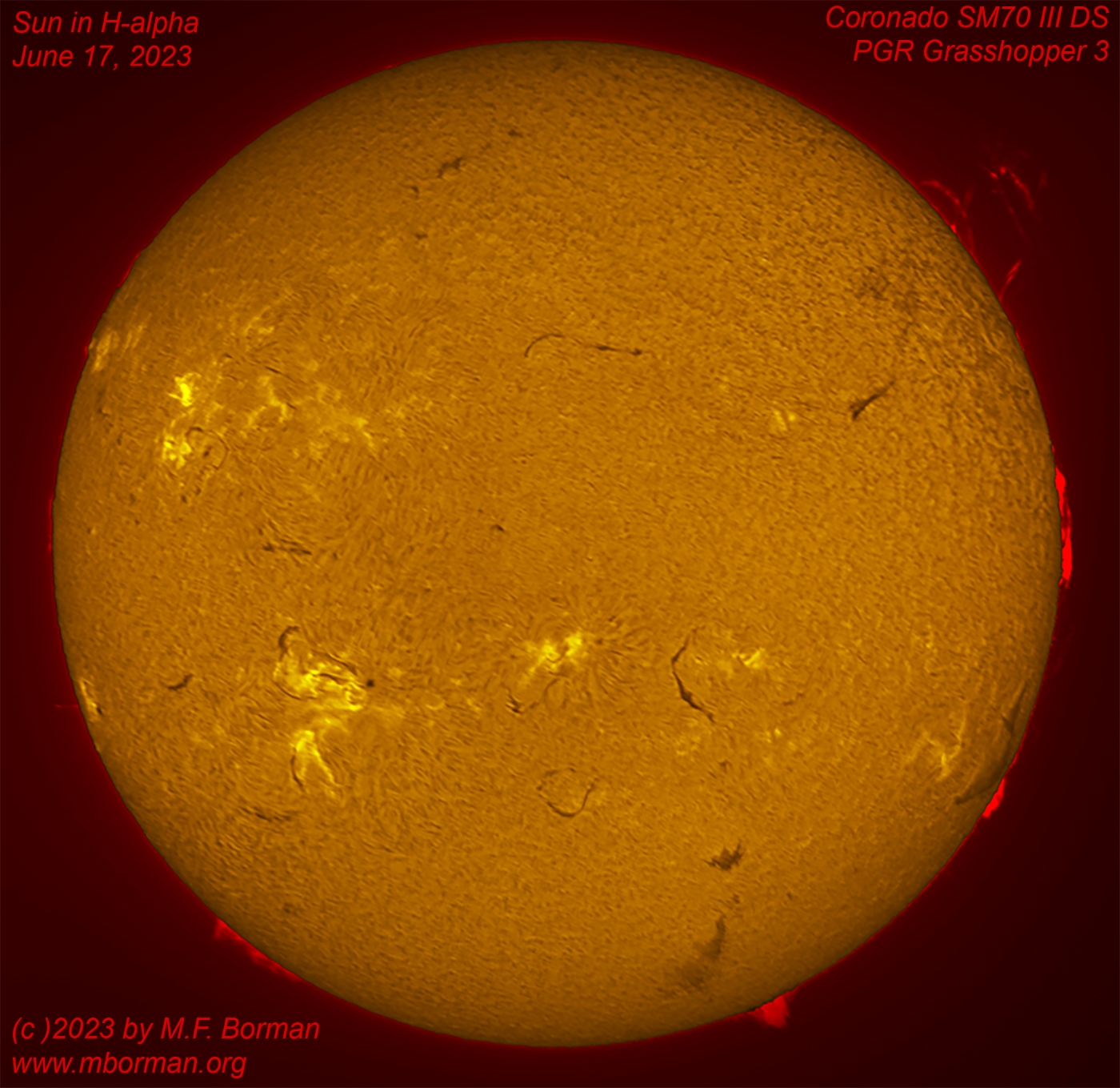 Solar disk in h-alpha 06/17/2023
