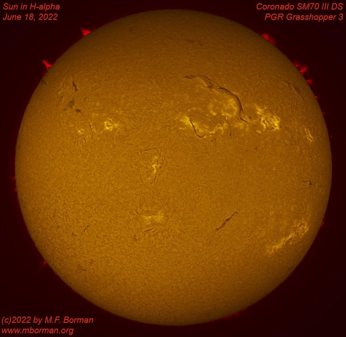 Solar disk in h-alpha 06/18/2022