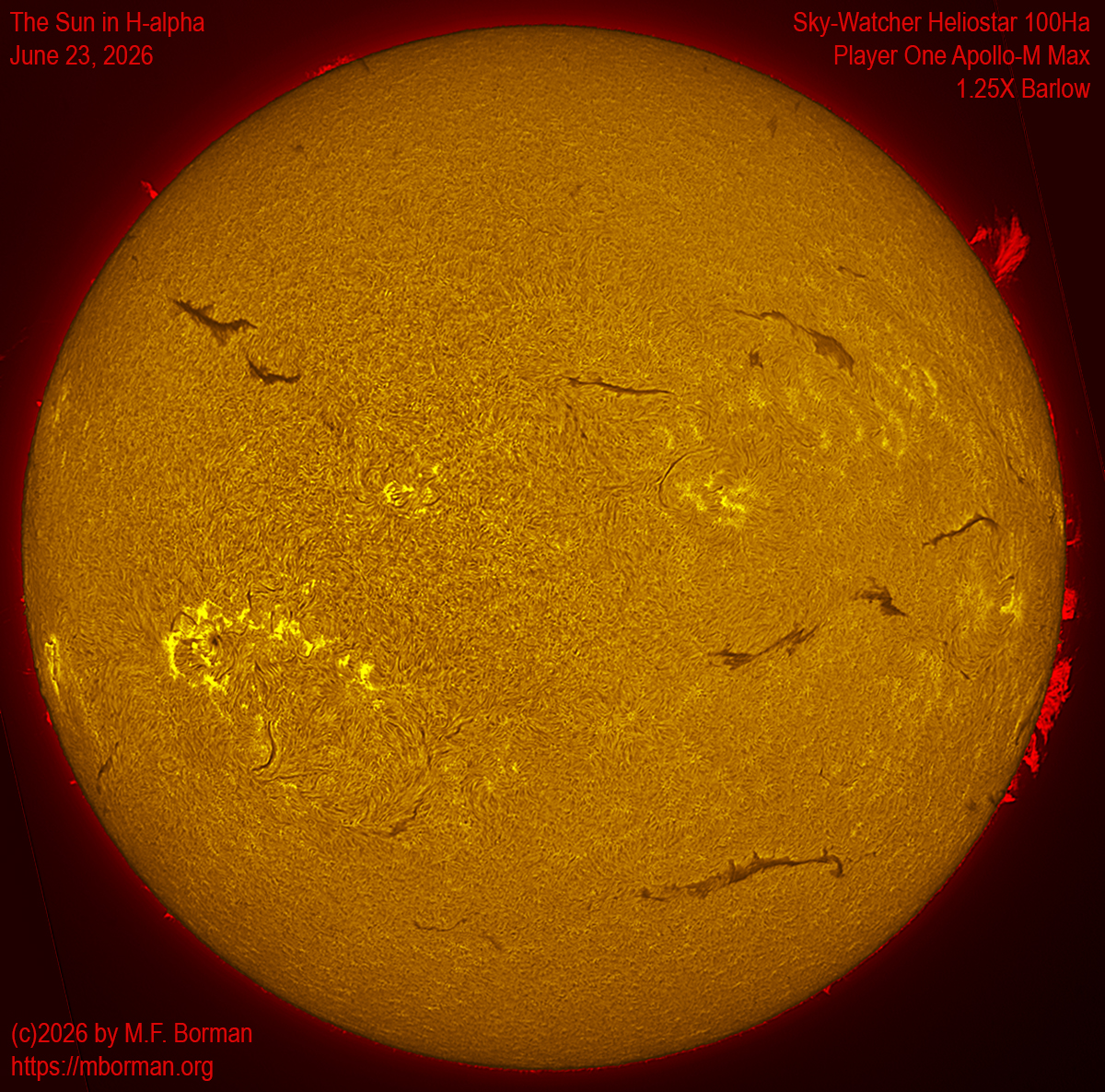Solar image in h-alpha 06/23/26