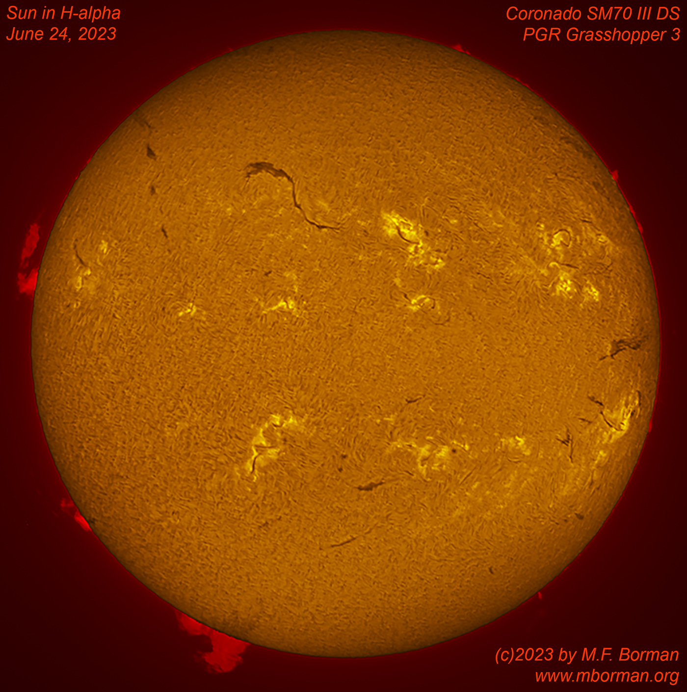 Solar disk in h-alpha 06/24/2023