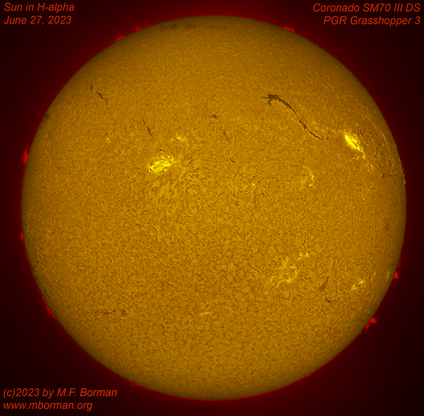 Solar disk in h-alpha 06/27/2023