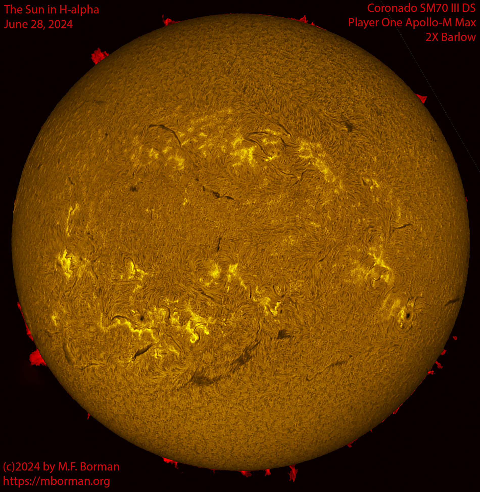 Solar image in h-alpha 06/28/28