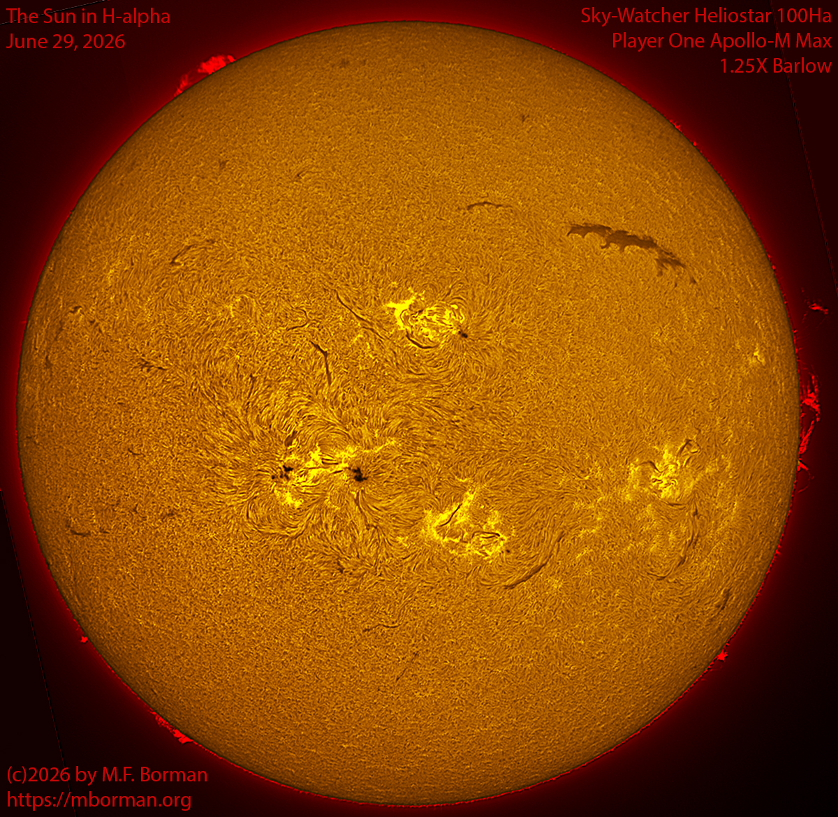 Solar image in h-alpha 06/29/26