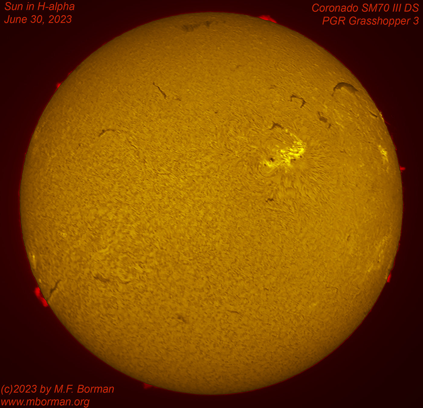 Solar disk in h-alpha 06/30/2023