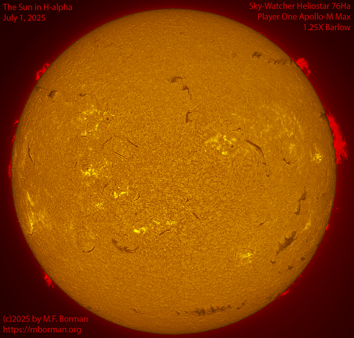 Solar image in h-alpha 07/01/25