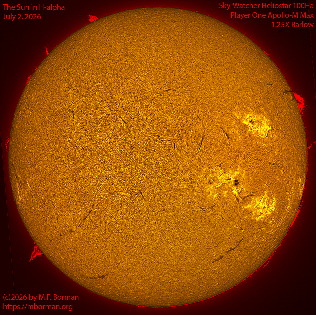 Solar image in h-alpha 07/02/26