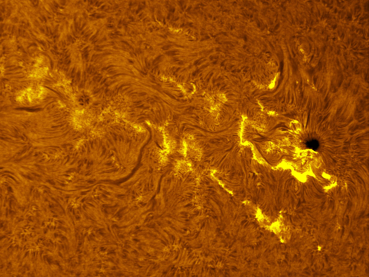 Sunspot 1513, 1516, and 1517 in h-alpha 07/04/2012