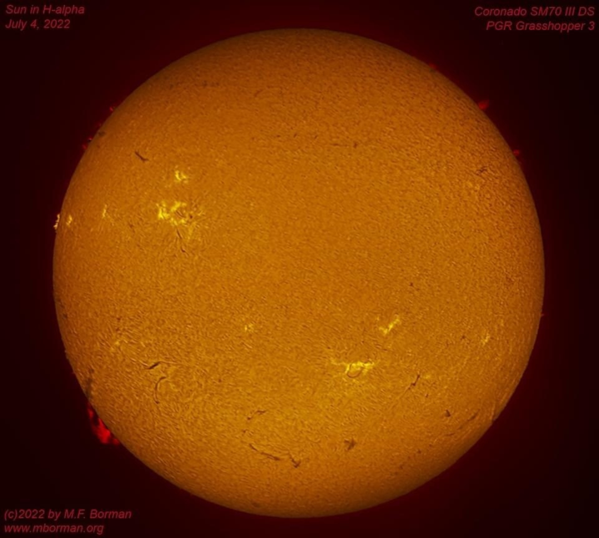 Solar disk in h-alpha 07/04/2022
