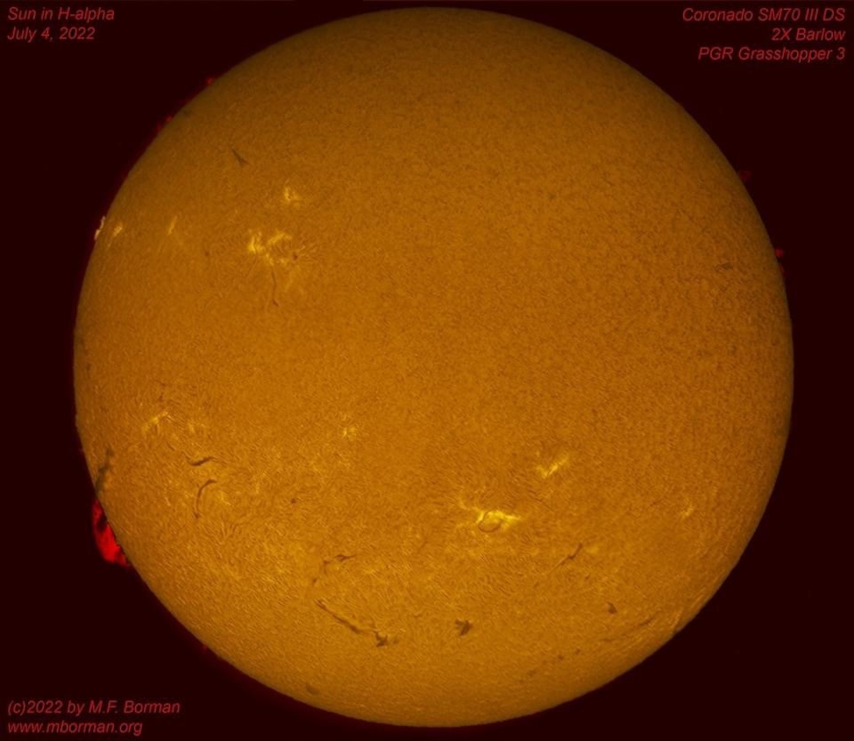 Solar disk in h-alpha 07/04/2022
