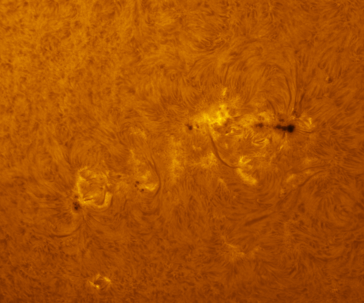 Sunspots 1785, 1787 and 1788 in h-alpha 07/06/2013