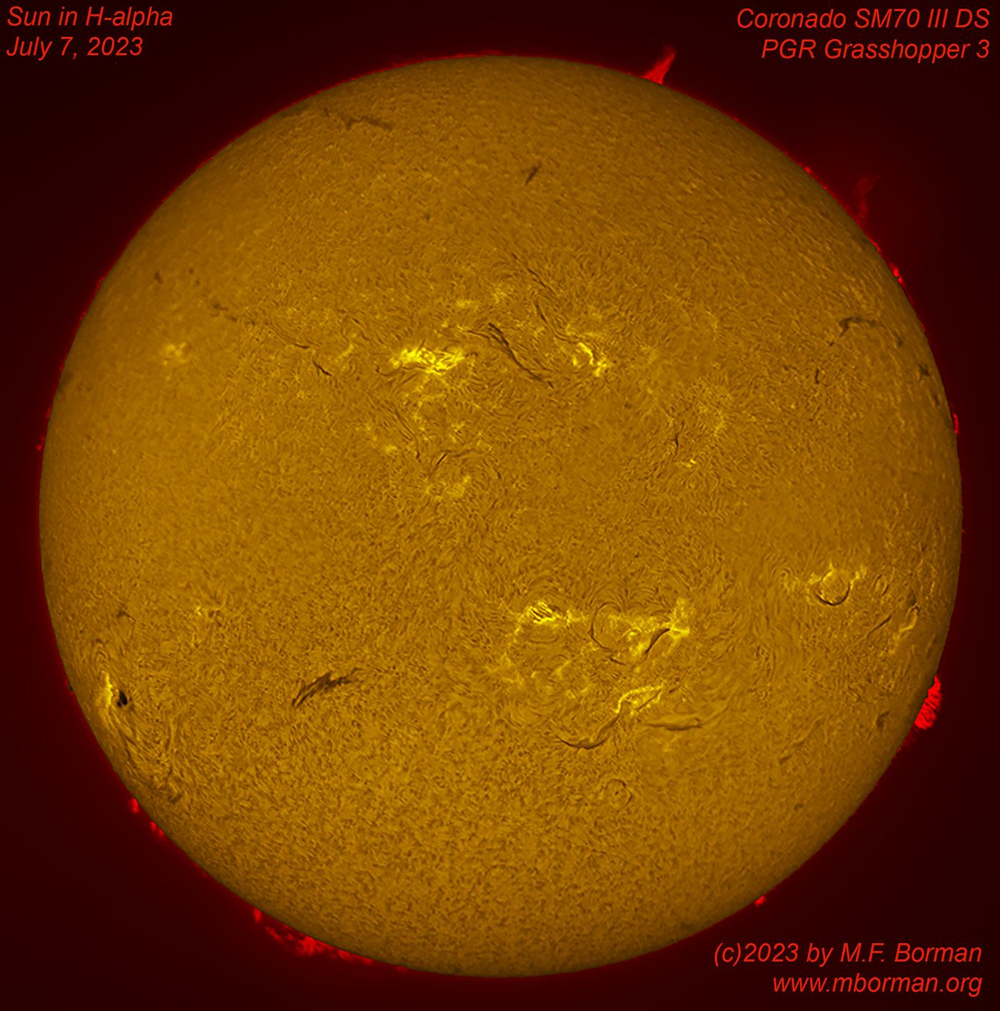 Solar disk in h-alpha 07/07/2023