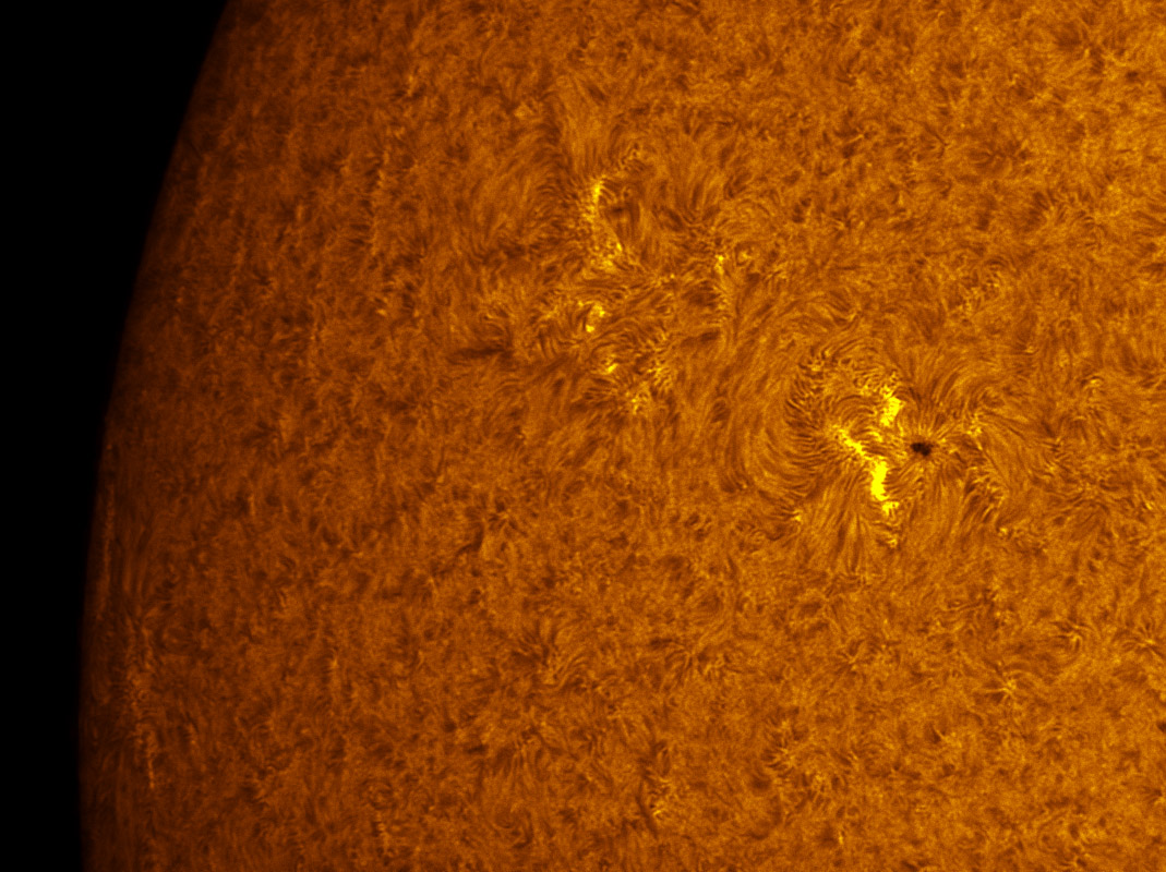 Sunspots 1245 and 1248 in h-alpha 7/09/2011