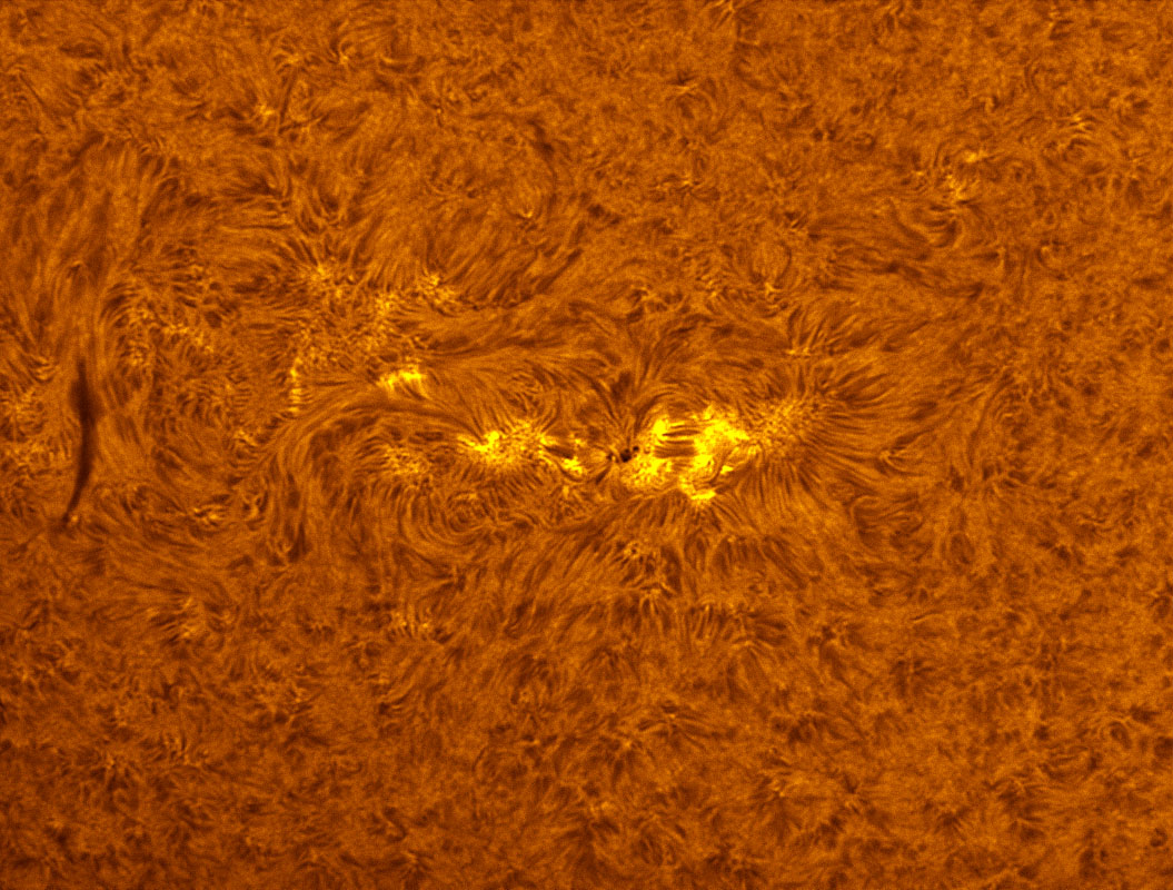 Sunspot 1247 in h-alpha 7/09/2011