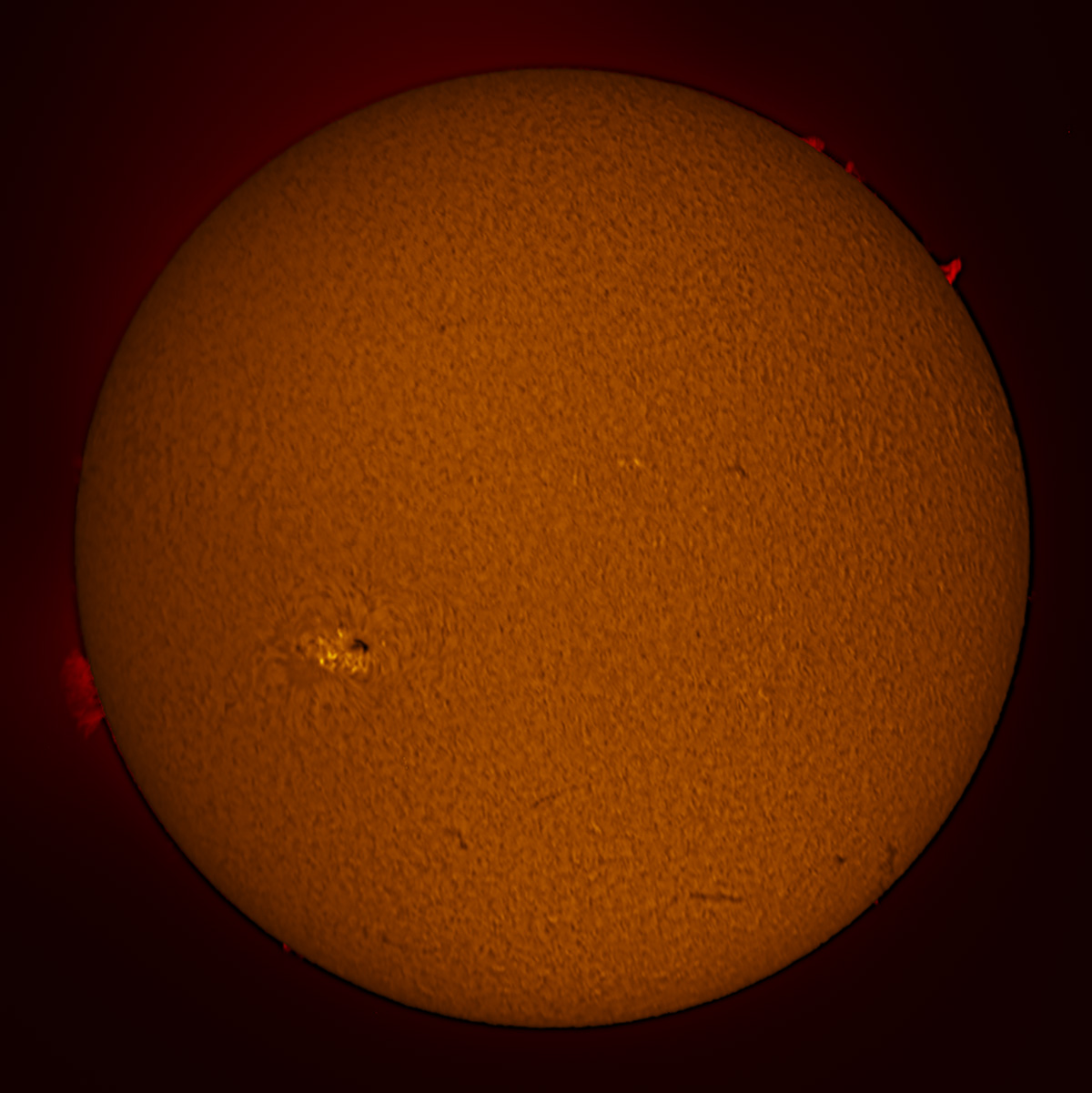 Solar images in h-alpha and white light 07/09/2017