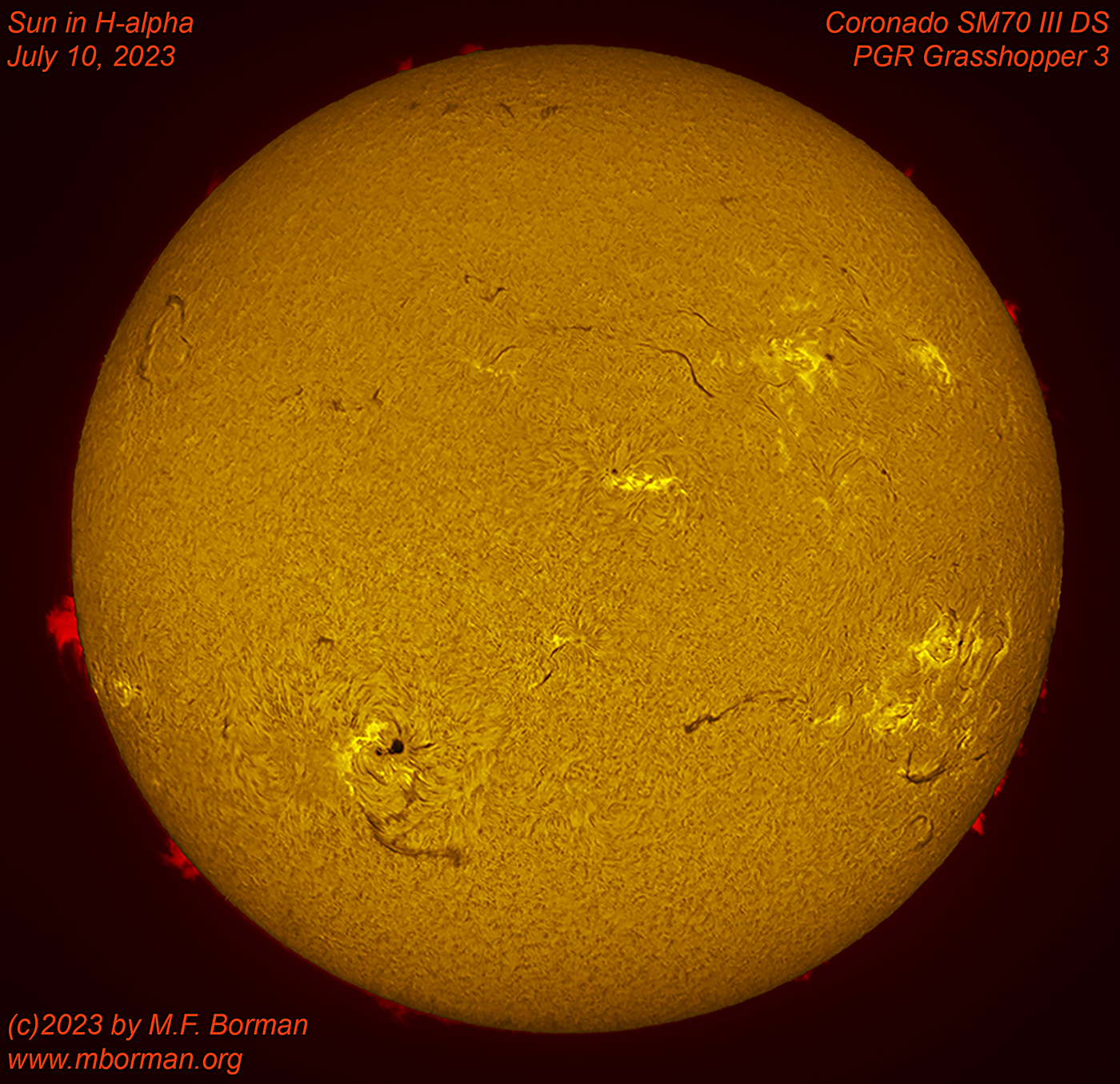 Solar disk in h-alpha 07/10/2023